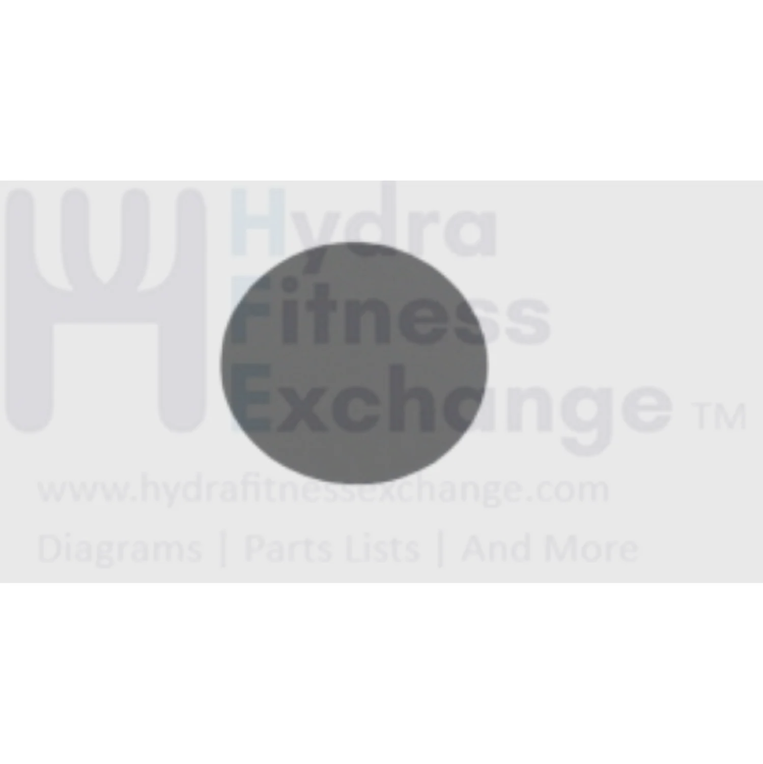 Merit Fitness TR3 TR5 AFG T5 SFT3.1 Treadmill Round Decal 1000362725