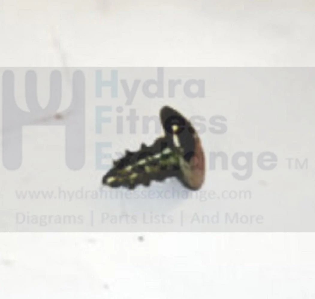 Merit Fitness Treadmill Button Head Oval Tapped Screw 4 x 8L 004619-AB - Image 2