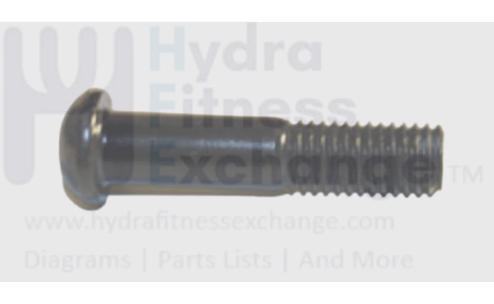 Merit Fitness Treadmill Button Head Screw M10 - 1.5P x 45L 004759-00