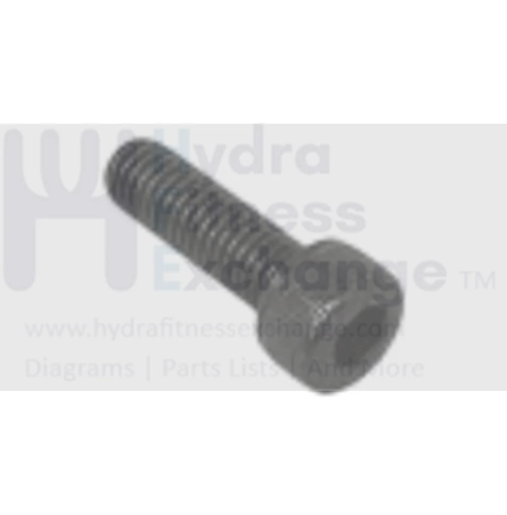 Merit Fitness Treadmill Round Head Hex Socket Screw M5 - 0.8P x 15L 059633-A