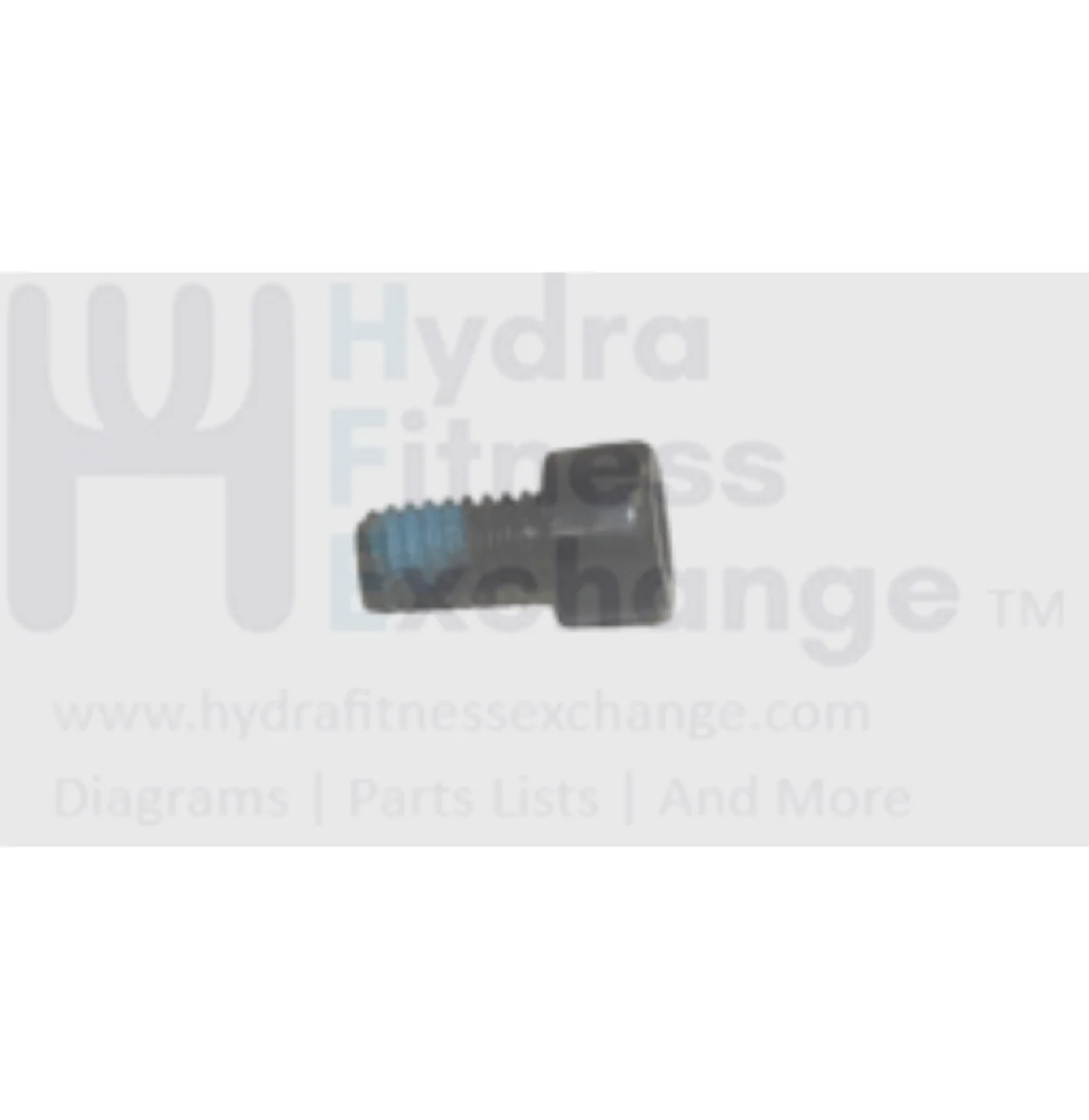 Merit Fitness Treadmill Round Hex Socket Screw 5/16"-18UNCx14L 020100-AB