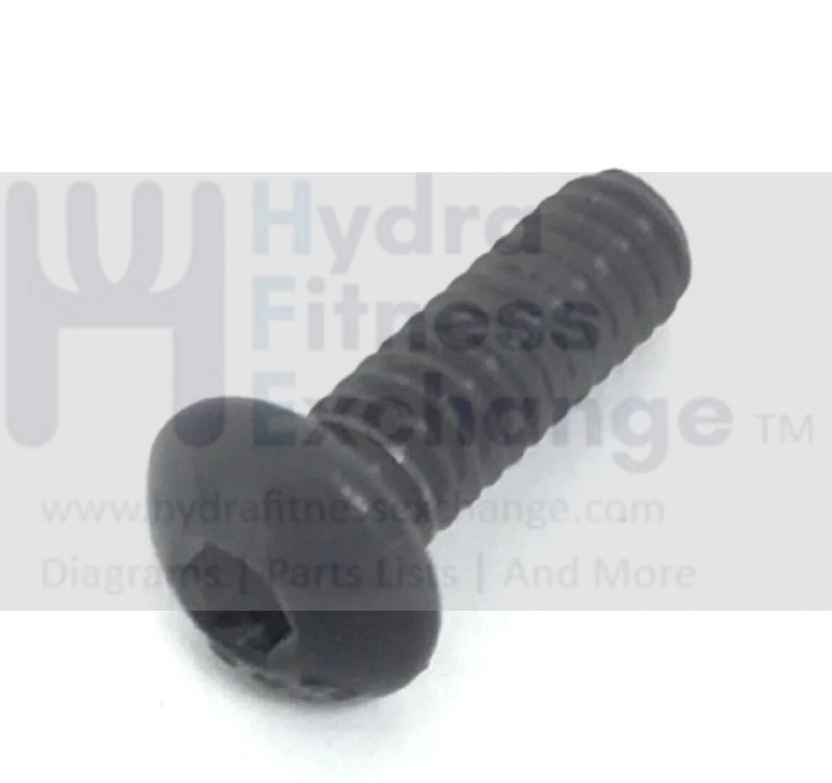 NordicTrack Commercial 1750 Treadmill Button Head Screw 1/4"-20x3/4"