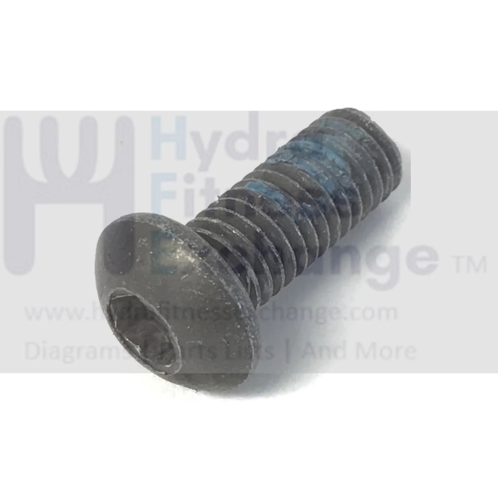 NordicTrack Elliptical Button Head Screw M8-1.25 x 20mm 6075006 - Image 2