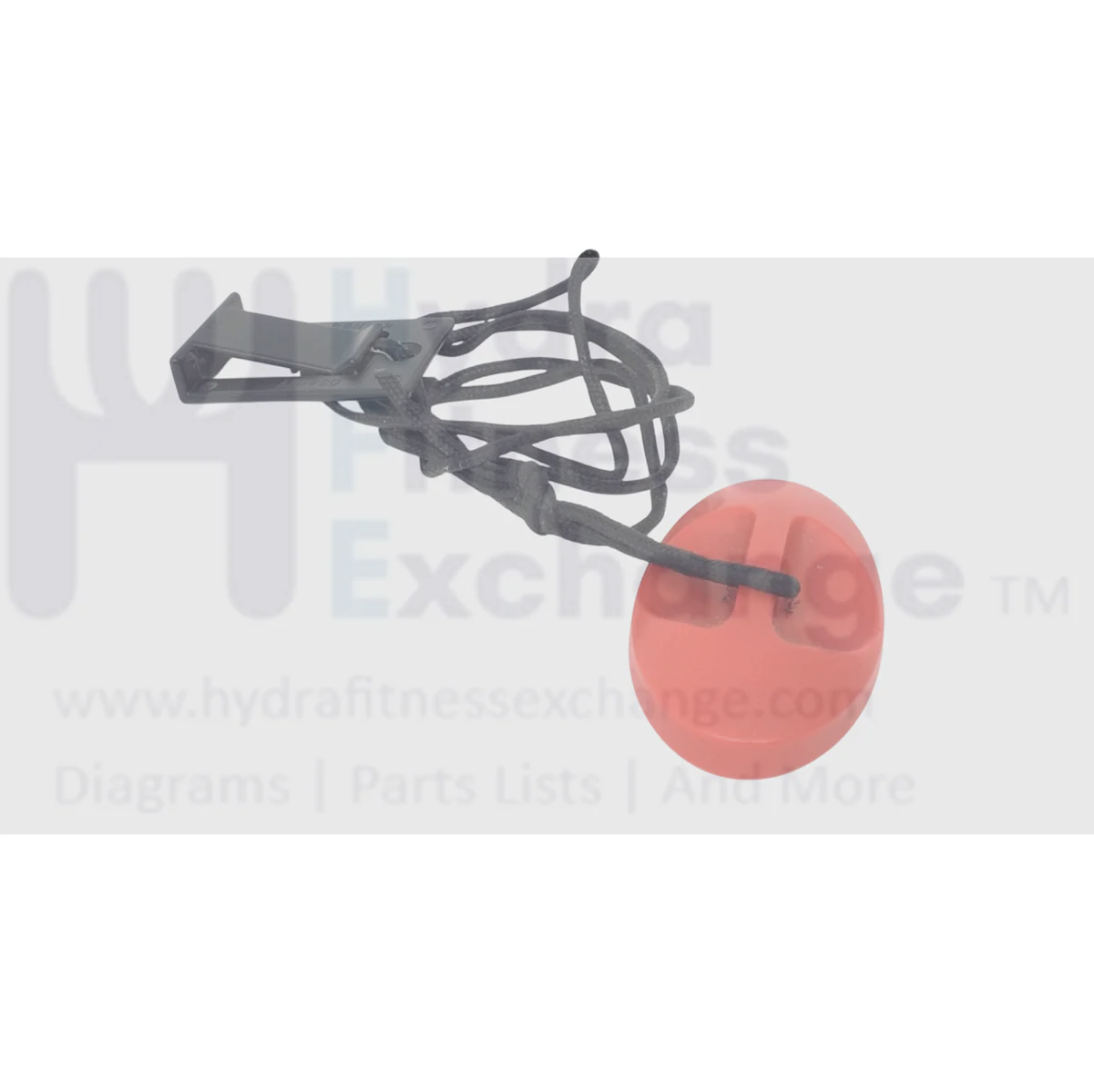 Nordictrack Freemotion Proform Treadmill Magnetic Safety Key Lanyard 303713