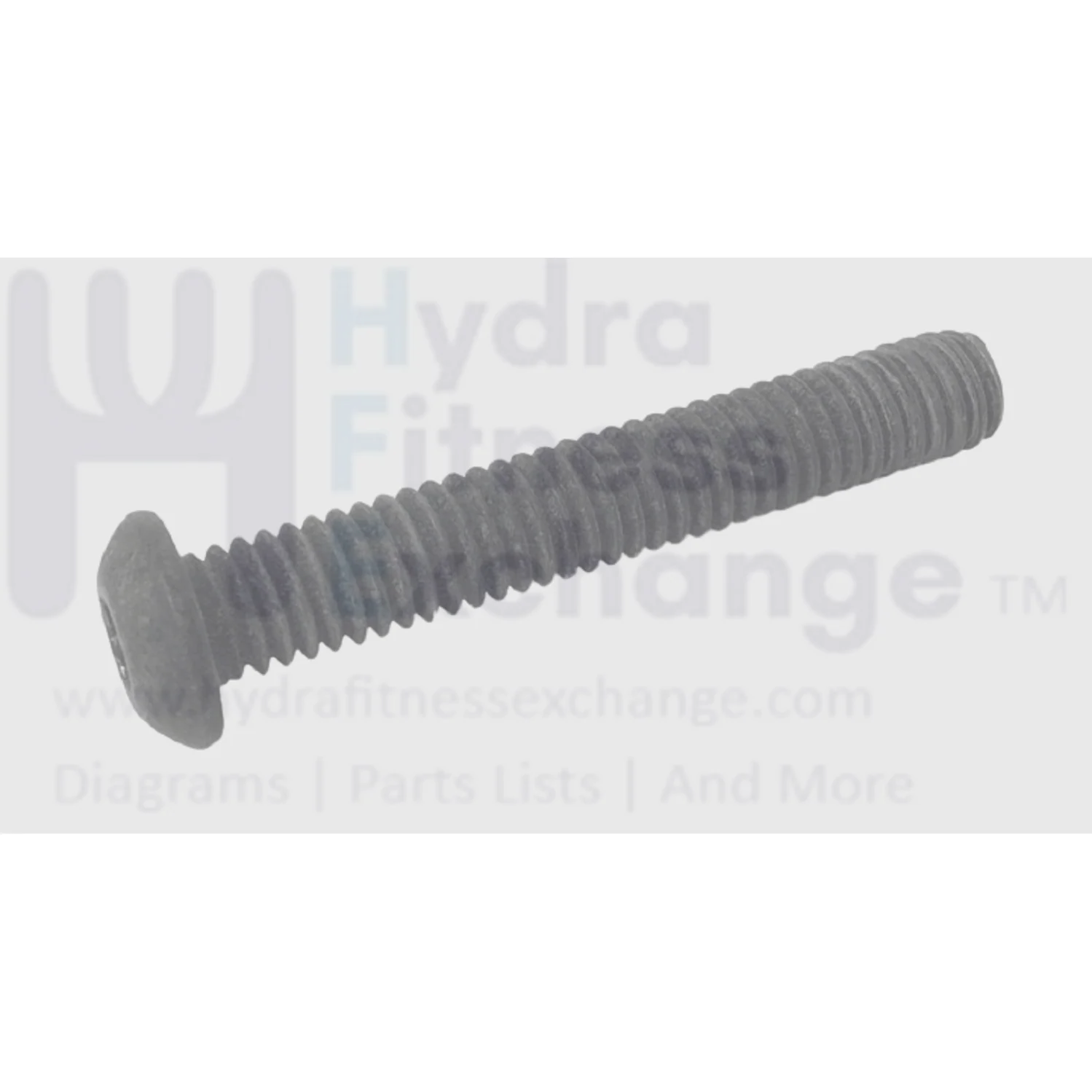 NordicTrack Freemotion Treadmill Round Hex Socket Screw 5/16"- 18x1.95" 203283