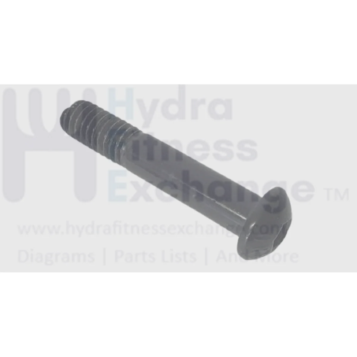 NordicTrack Gold's Gym Proform HealthRider Treadmill Screw 3/8" x 1 3/4" 181980