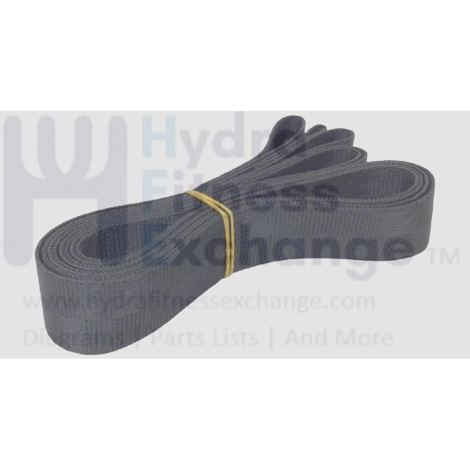 NordicTrack RW900 RW700 RW300 Rower Strap 434737