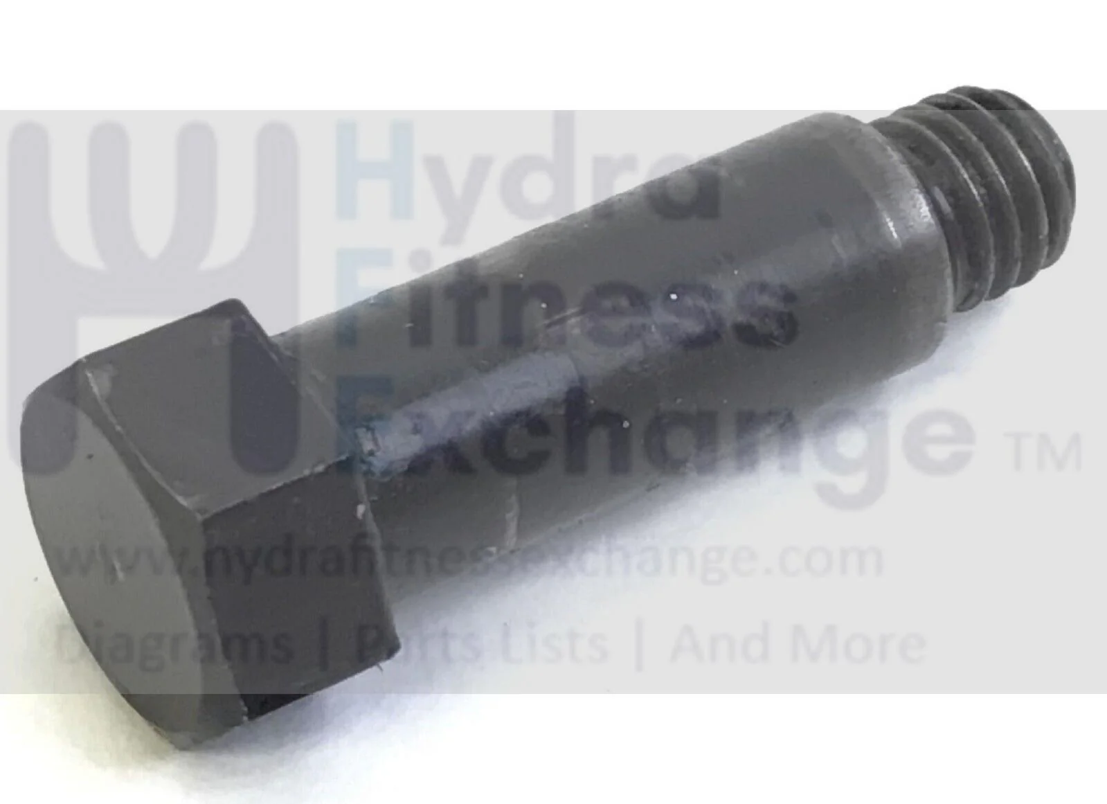 Nordictrack S10I S15I S22I  Stationary Bike Screw M8-1.25x33mm 390125