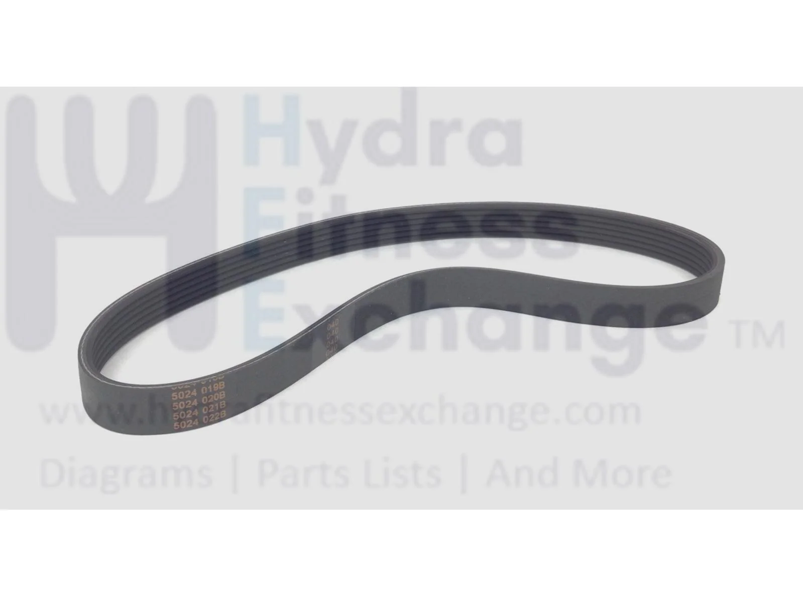 NordicTrack Treadmill Motor Drive Belt 449498 6 Rib - Image 7