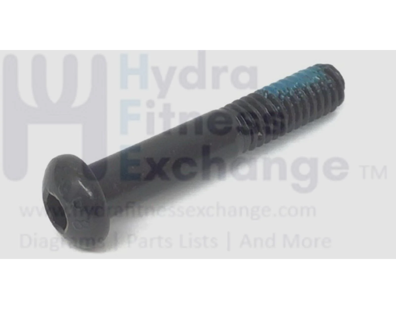 NordicTrack Treadmill Patch Bolt 5/16" X 1 3/4" 295135