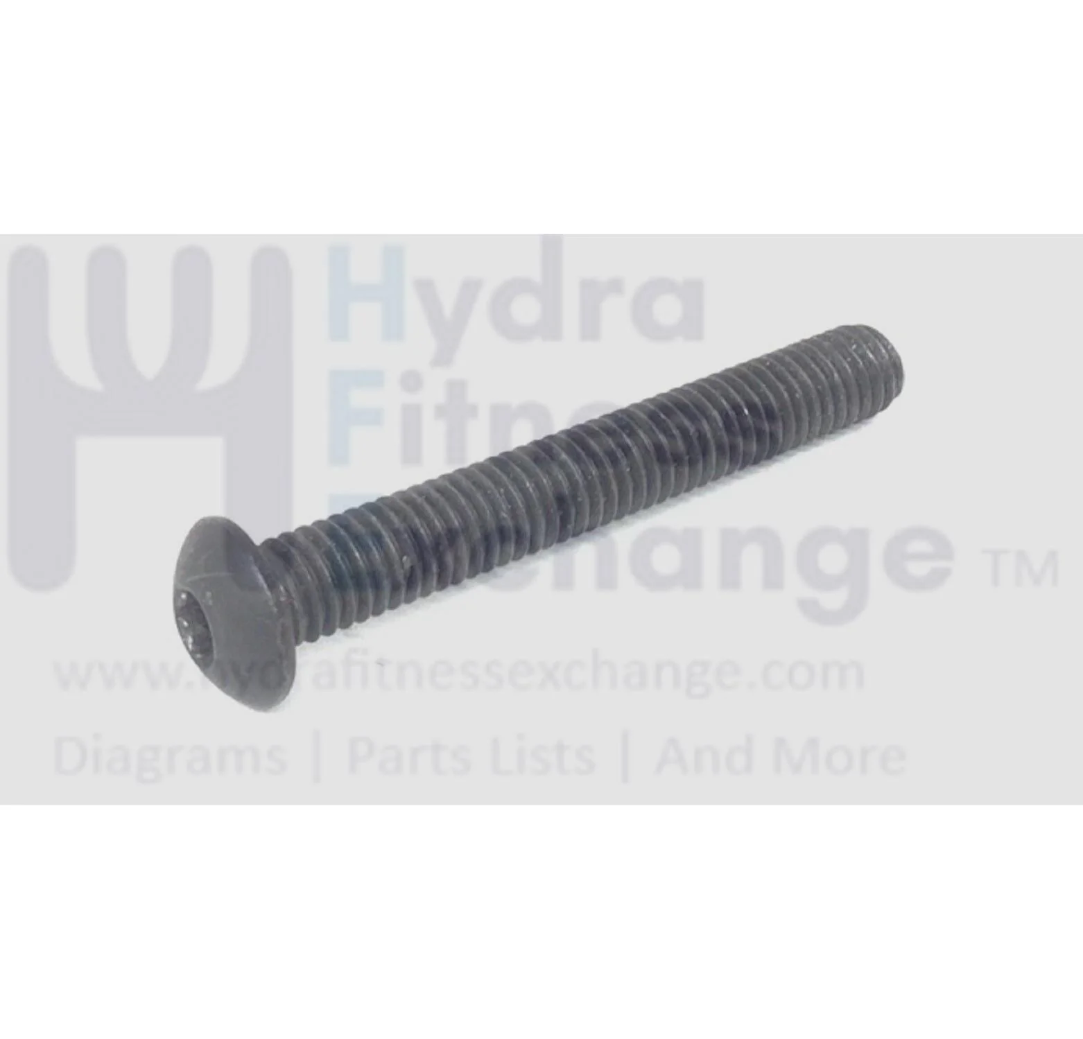 NordicTrack Weider C 900 Treadmill Button Head Screw 3-8-16 x 2.75 Inch 243529