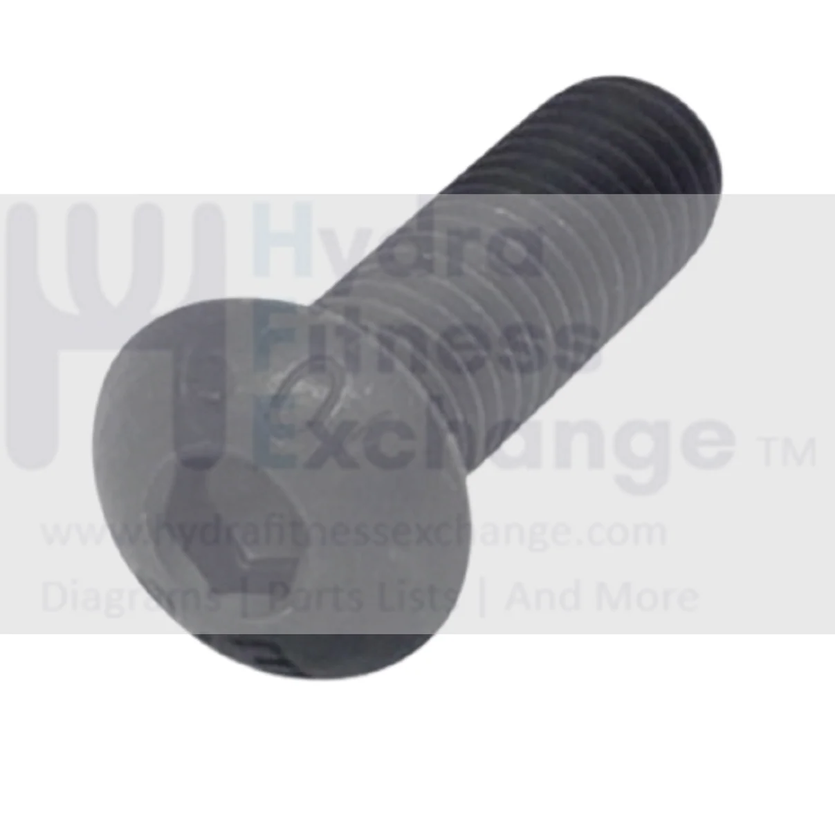 NordicTrack Weslo Elliptical Round Head Hex Socket Screw M10 X 30mm 382619