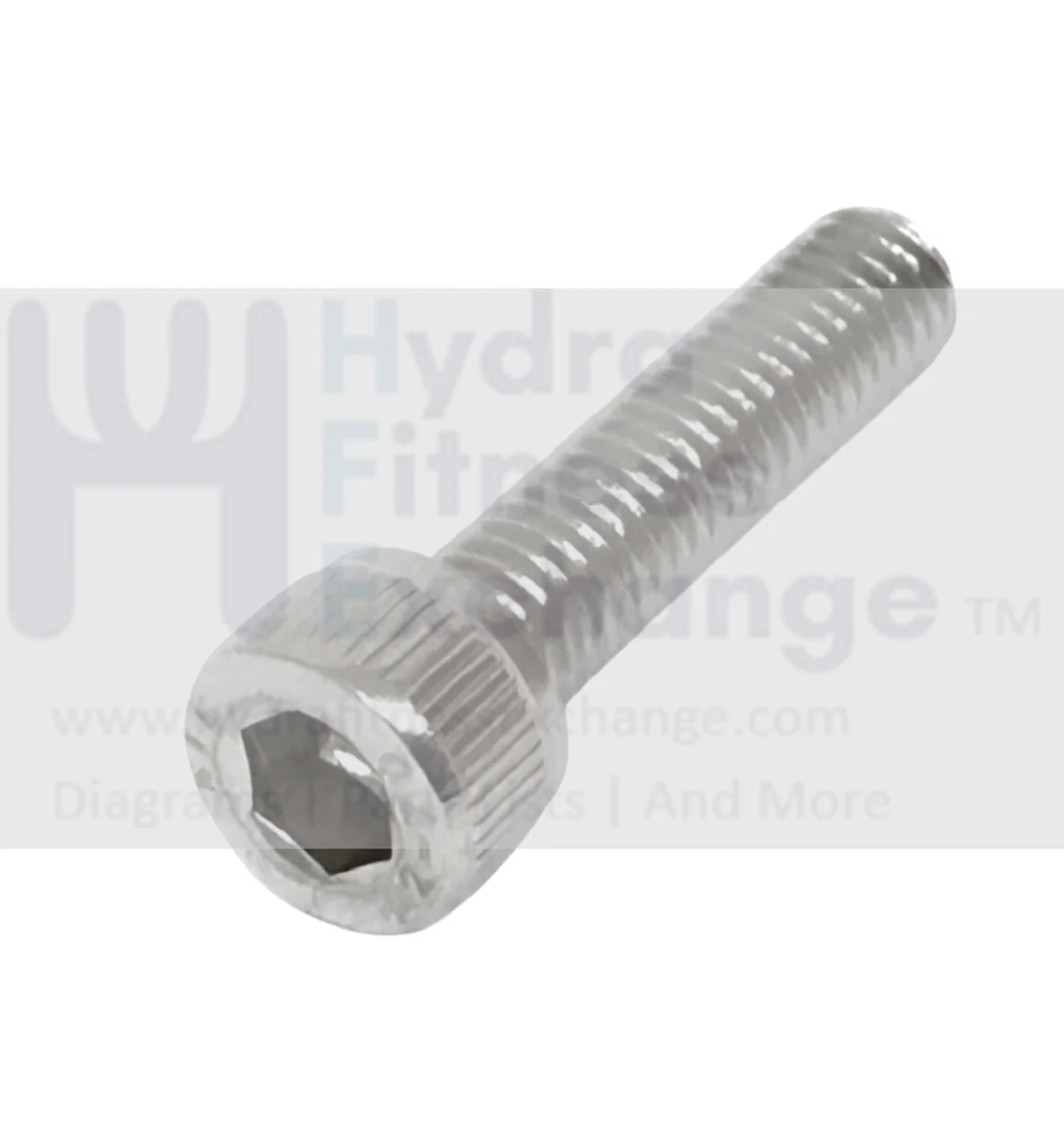 Octane Elliptical Round Head Hex Socket Screw M5 - 0.8 x 20.0L 9103431-001
