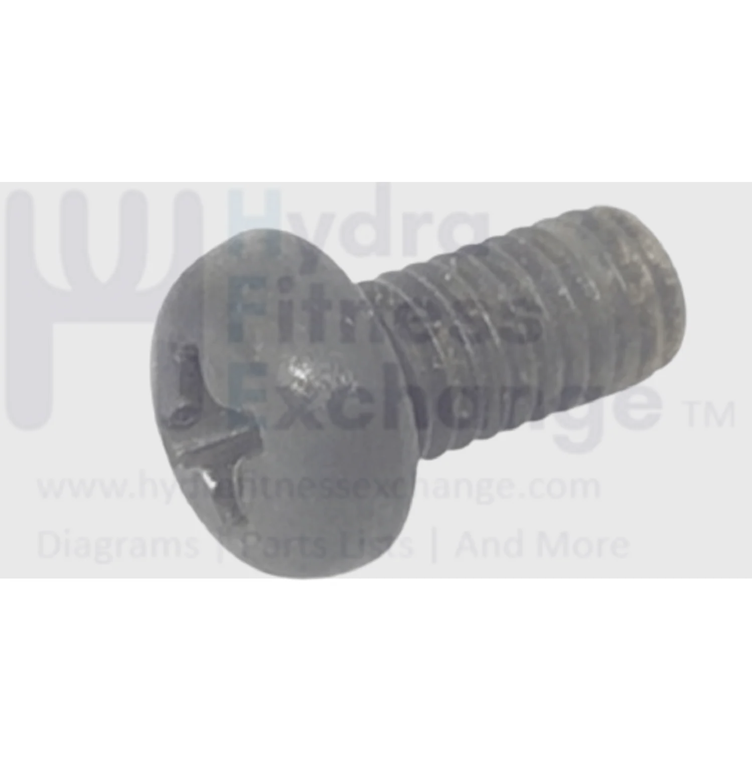 Octane Fitness Elliptical Pan Head Screw M5x0.8x10 100602-001