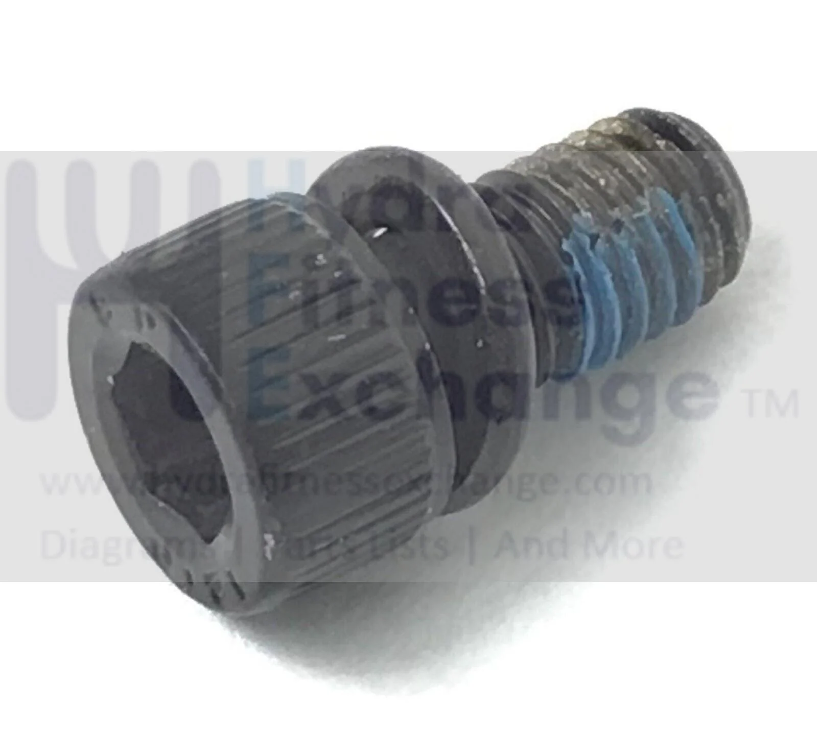 Octane Fitness Elliptical SHCS Screw W/Spring Washer M5 X 0.8 X 10.0L 101298-001