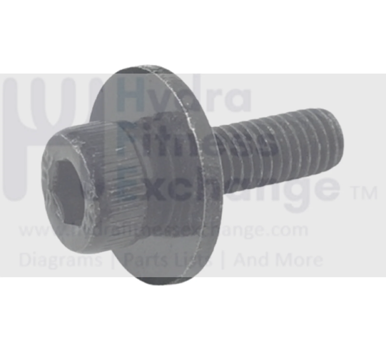 Octane MTX Elliptical Black Socket Head Screw with Washer M5x0.8x16L 113125-001