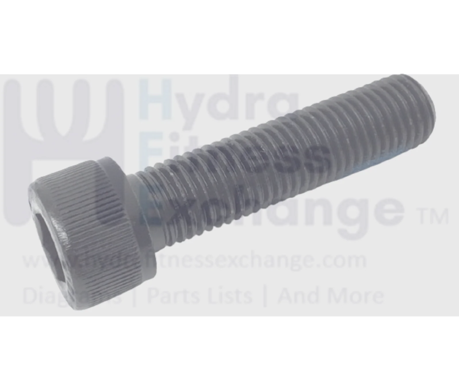 Octane Schwinn Stationary Bike Round Hex Socket Screw M10-1.25x40 8009622
