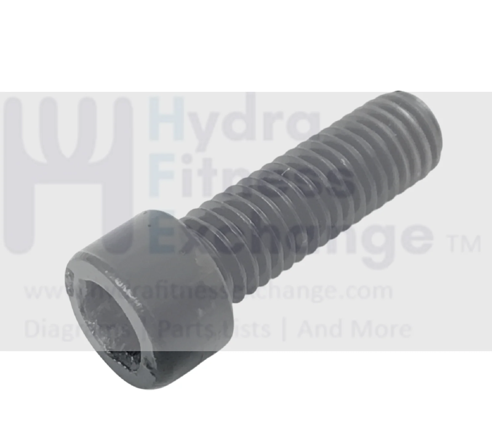 OMA 7200EB Treadmill Socket Cap Screw M8 - 1.25 x 25mm 3701027