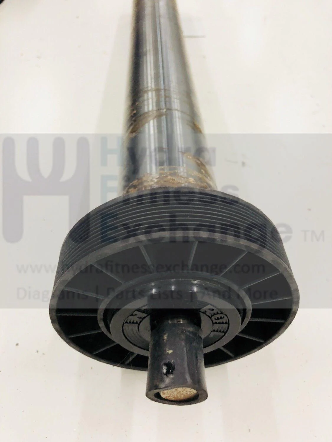 Pacemaster Platinum Pro Gold Treadmill Front Drive Roller w/Pulley item DBBDRRLR