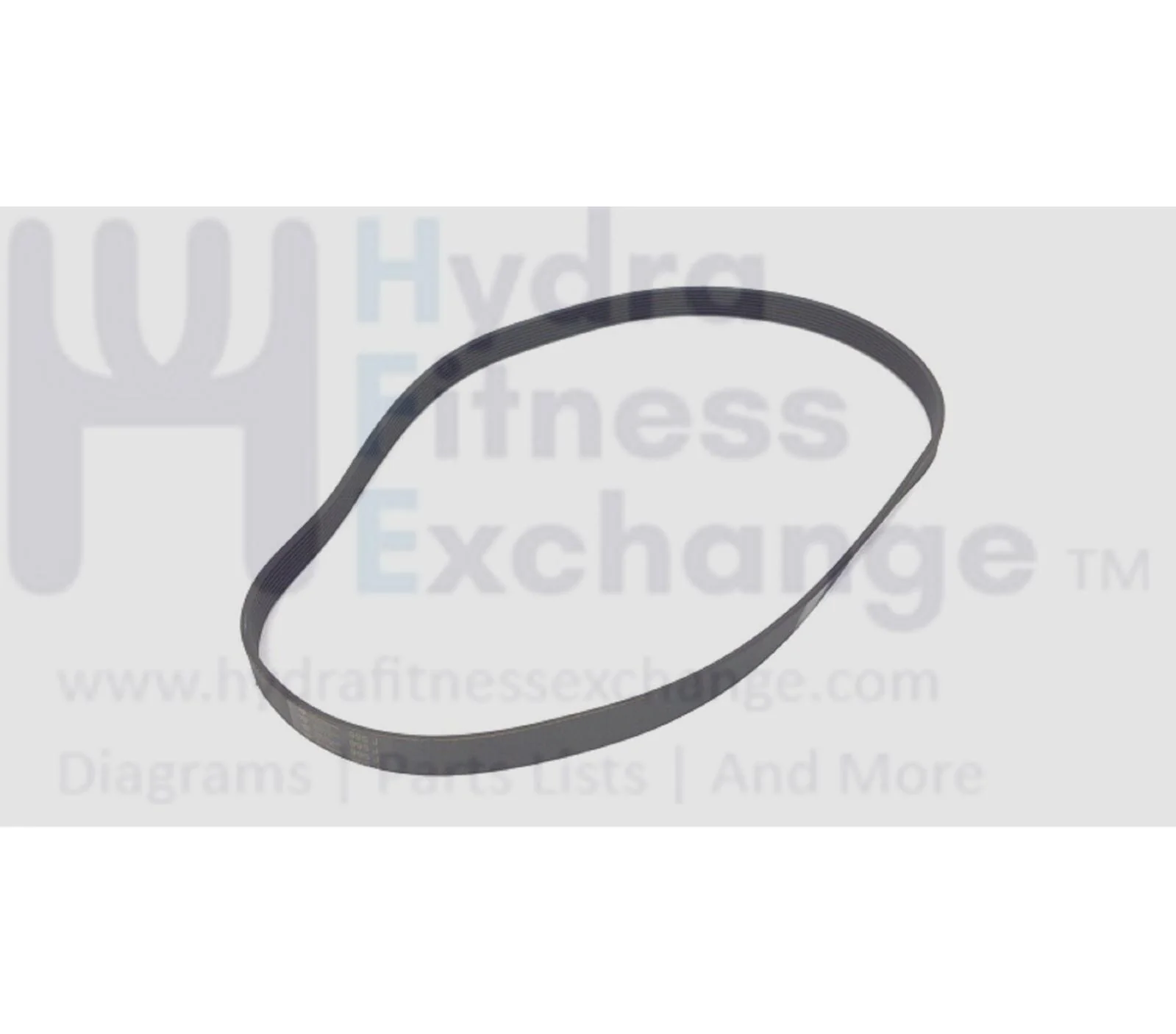 Used Precor 5.21 EFX 5.23 Elliptical Pulley Drive Belt 38" Ribs8 PPP000000RX2JTH000 - Image 2