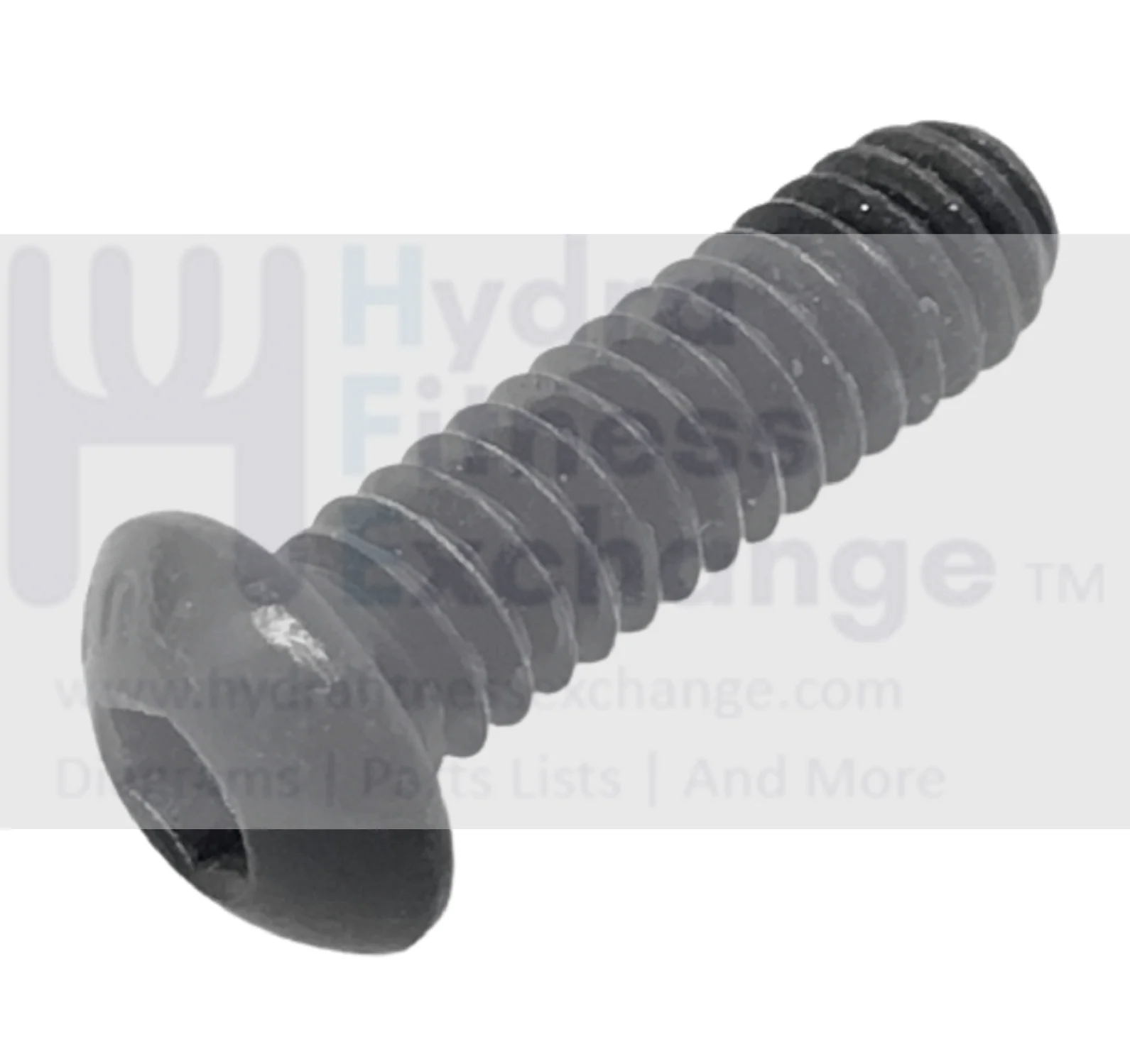 Precor EFX4X7-18 Elliptical Button Head Screw 1/4 -20 X 0.87" PPP00000TFTN025088 TFTN025-088