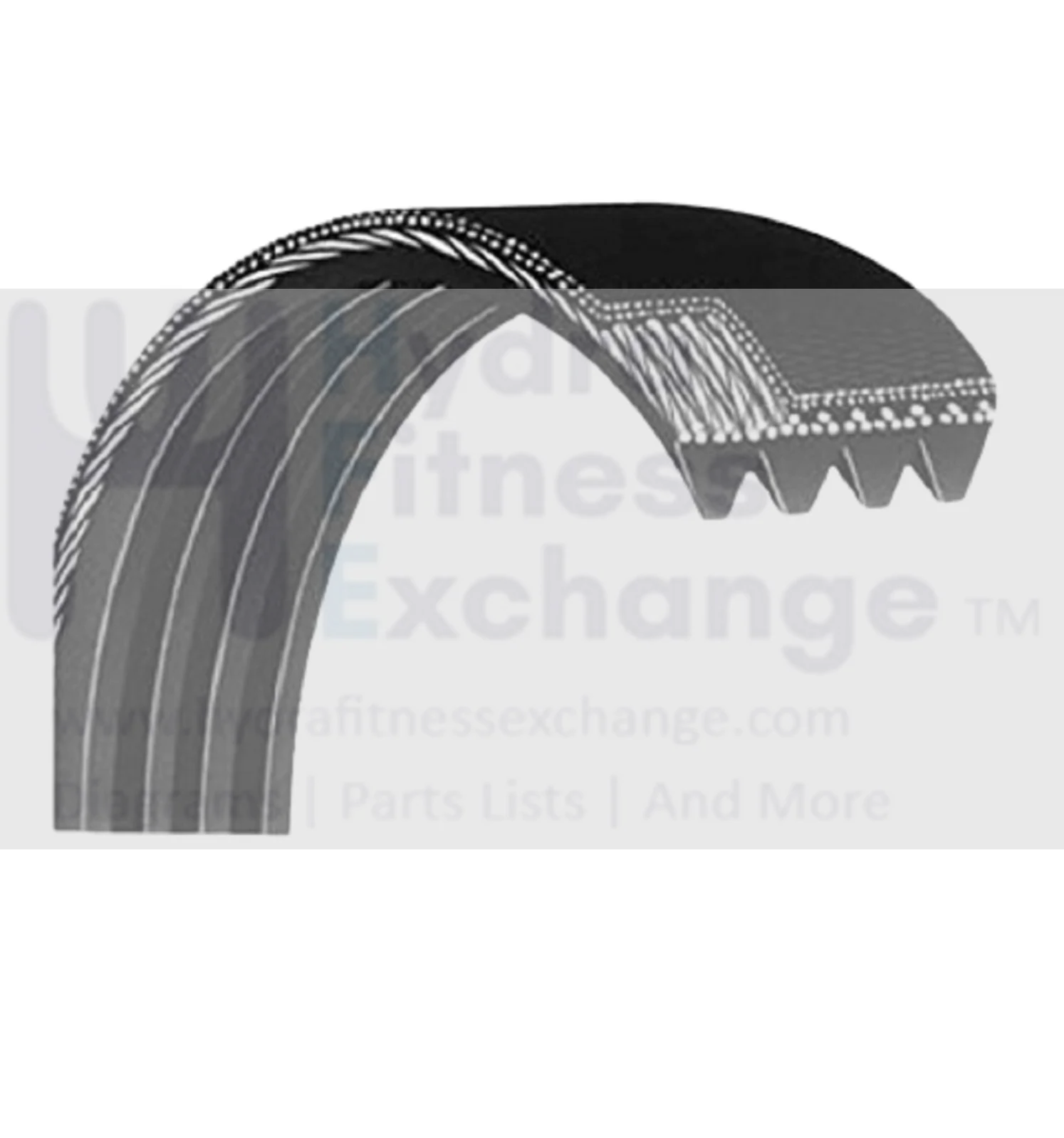 Precor EFX4X7 Elliptical Secondary Drive Belt 36" MFR-27-0627 PPP000000010217131