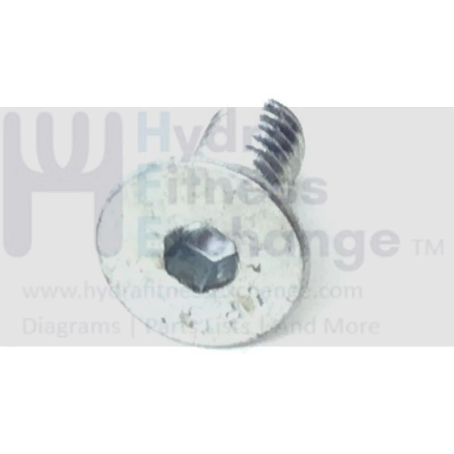 Precor Elliptical Flat Head Screw 1/4"-20 PPP0000MACCN025062