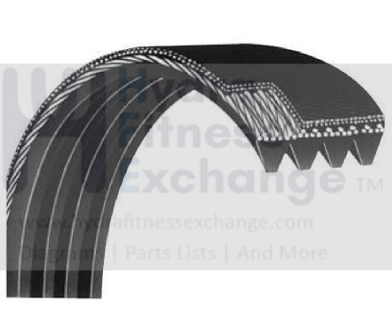 Precor Elliptical Pulley Drive Belt 24" 12 Ribs PPP000000010217149