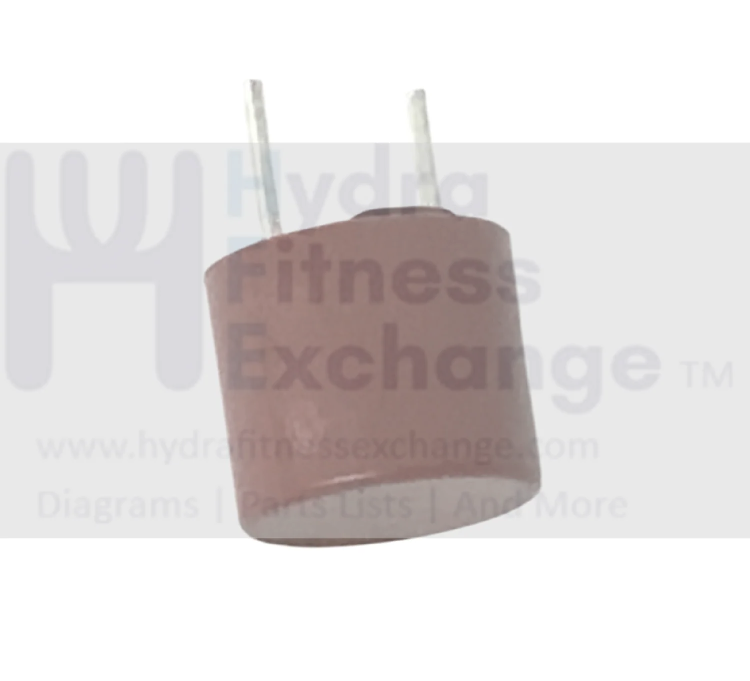 Precor Elliptical Slowblow Fuse 2A 11075-105