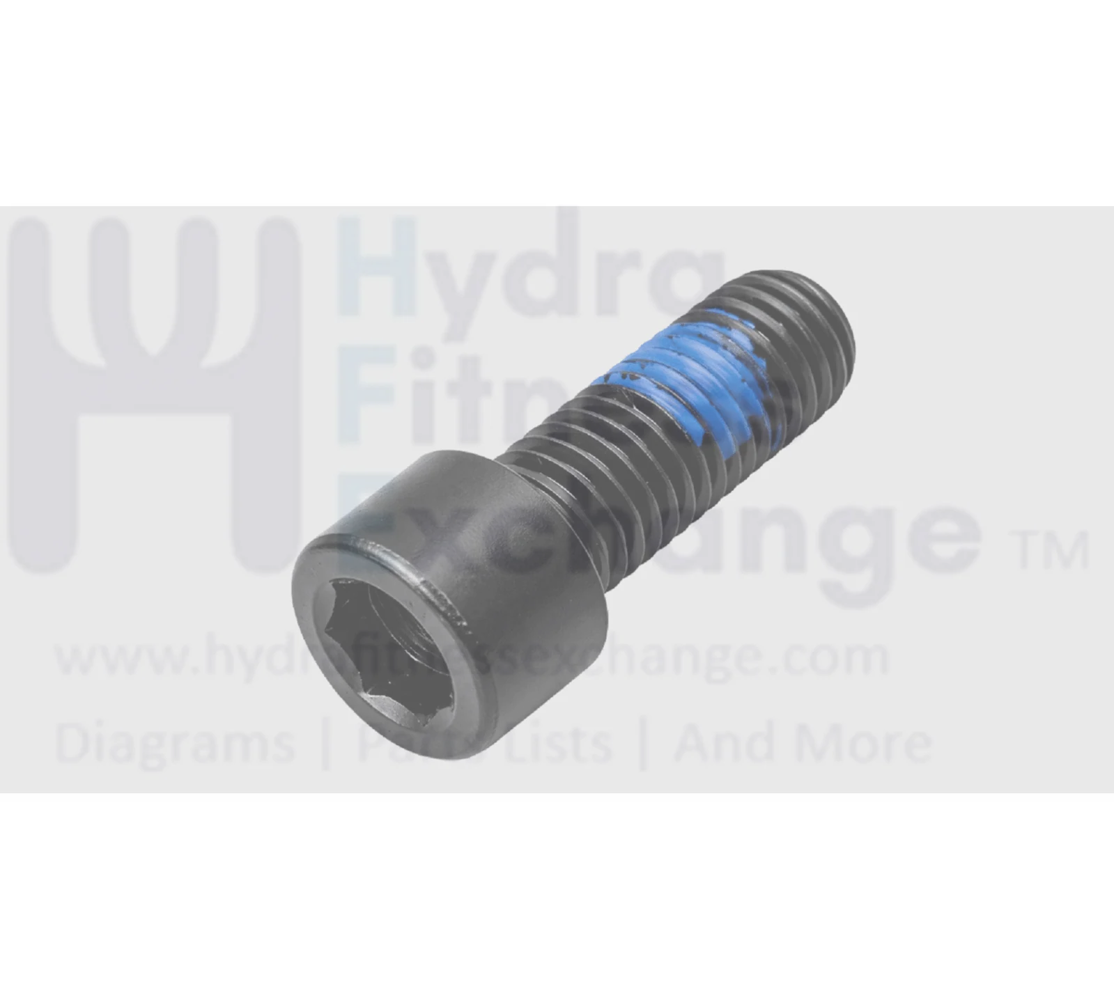 Precor M10 x 25 Round Head Hex Socket Screw Black E-Coat PPP00000CEJN010025