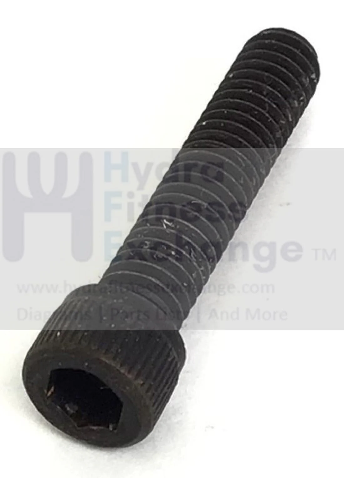 Precor M9.2 9.2 9.20 9.2s M9.20 Treadmill Front Roller Socket Cap Screw 5/16"-18 - Image 2