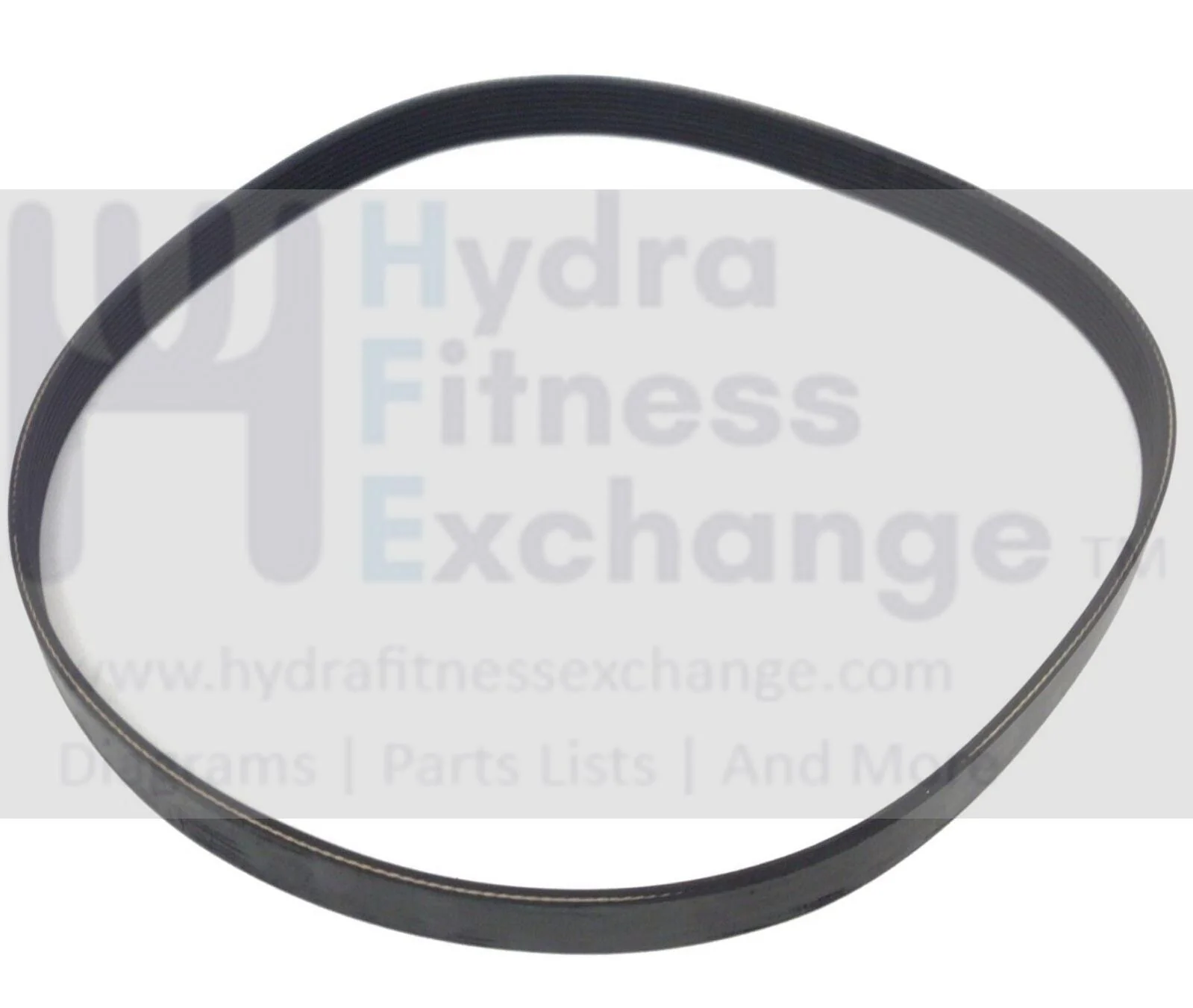 Used Precor Recumbent Bike Pulley Drive Belt 28" 8 Ribs 10217-145 - Image 2