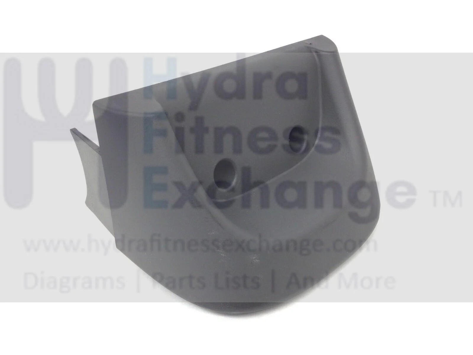 Precor Recumbent Bike Rail Cap Cover PPP000000300589101