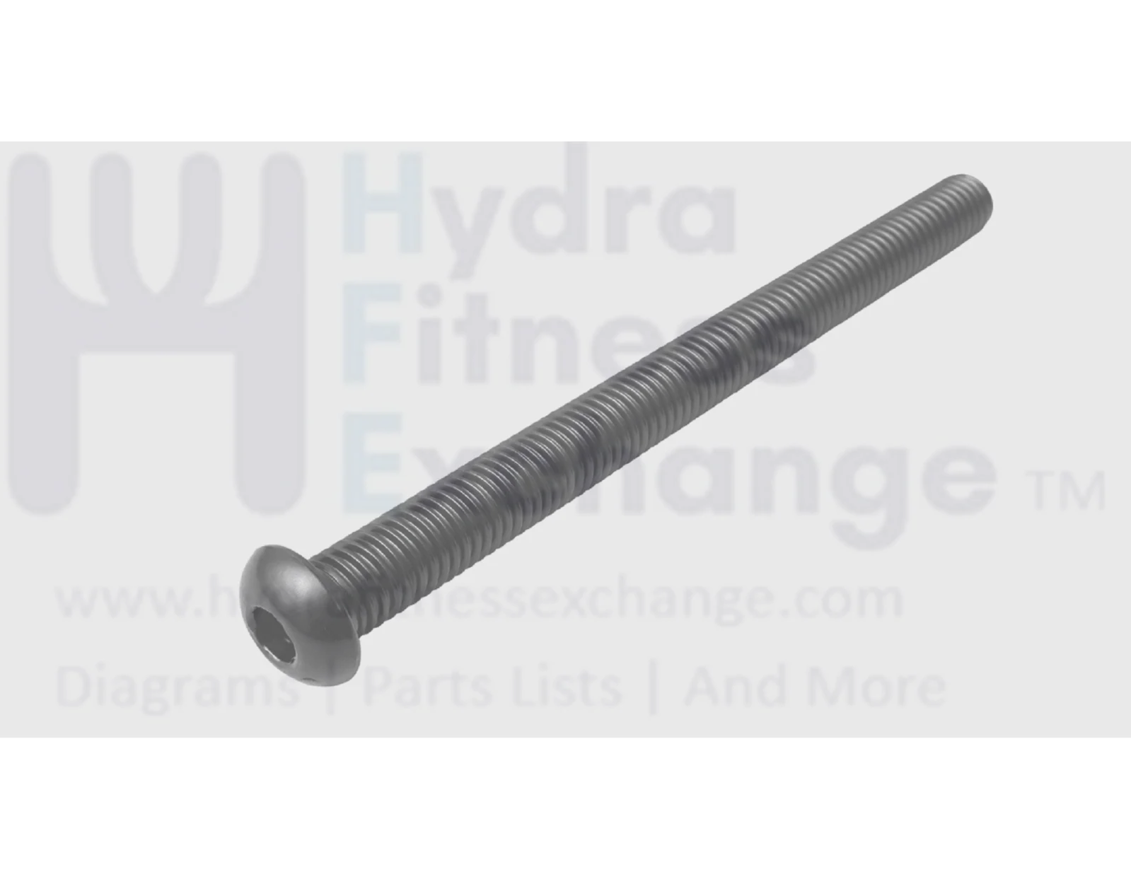 Precor Strength System Button Head Cap Screw M10 x 125 PPP00000TECN010125