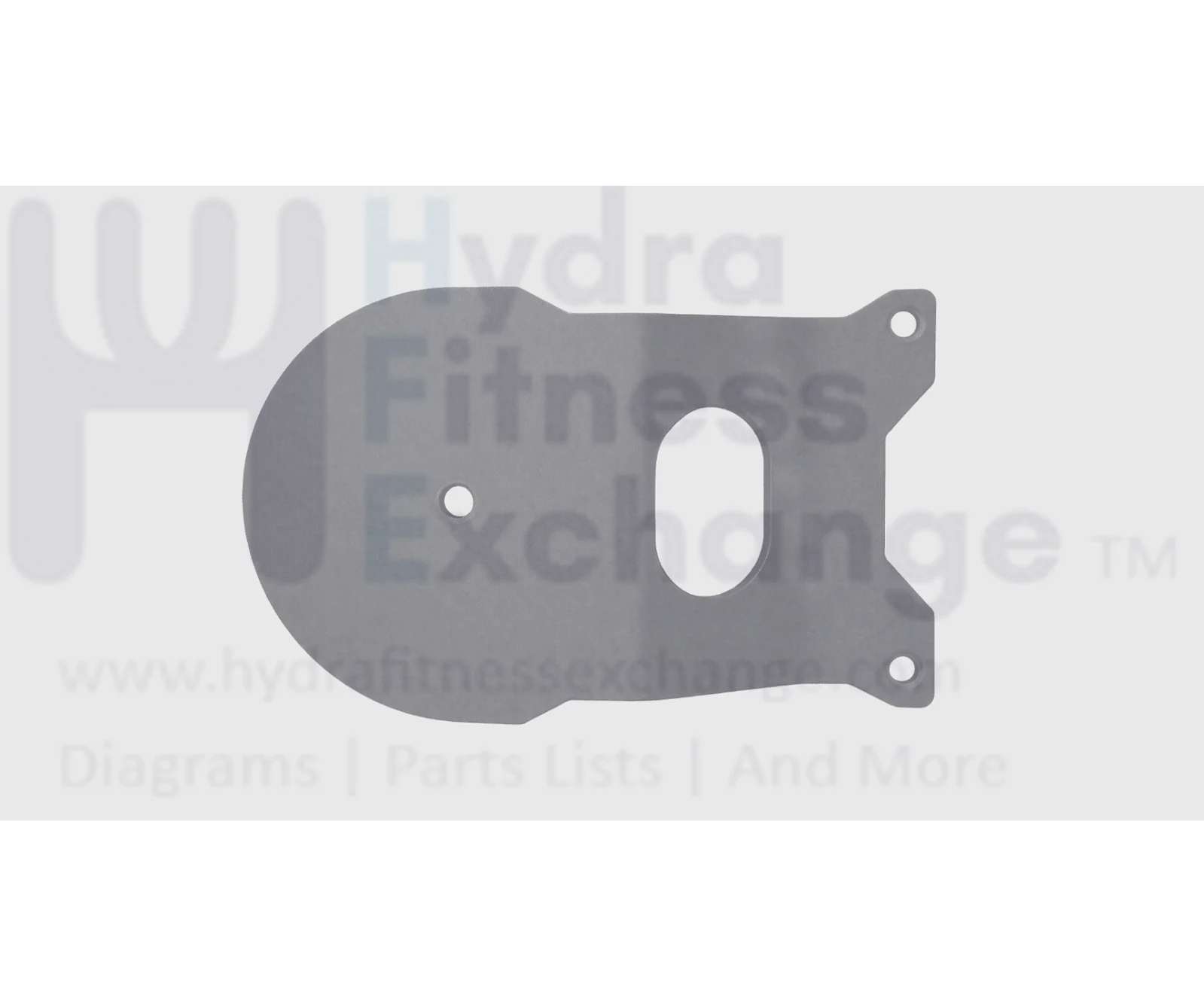 Precor Strength System Cam Mount Plate PPP000CWS074001101
