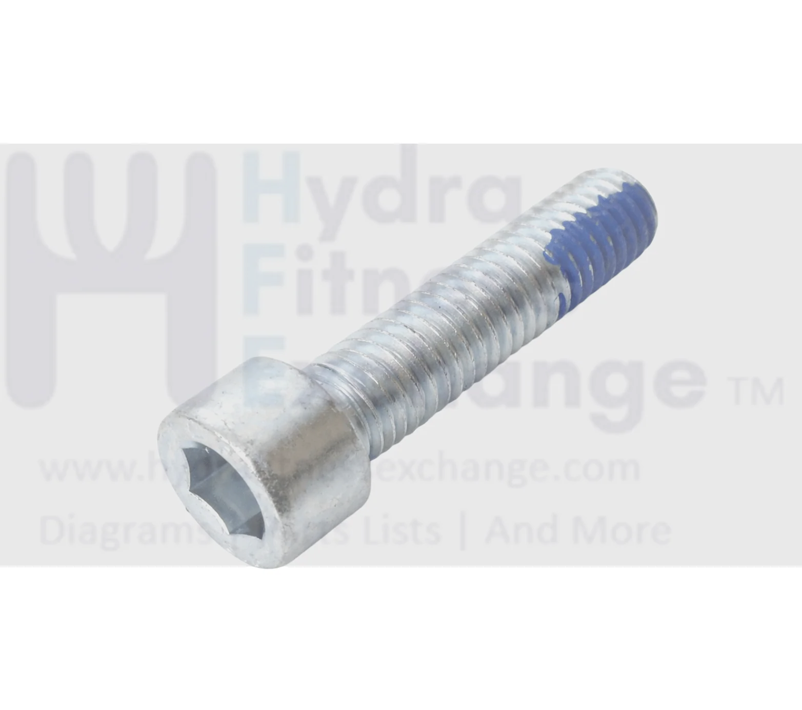 Precor Strength System Round Head Hex Socket Screw M10 x 40 PPP00000CECE010040