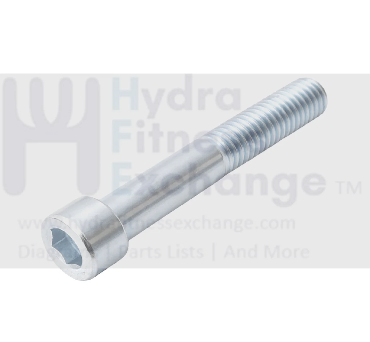 Precor Strength System Round Head Hex Socket Screw M10 x 65 PPP00000CECN010065