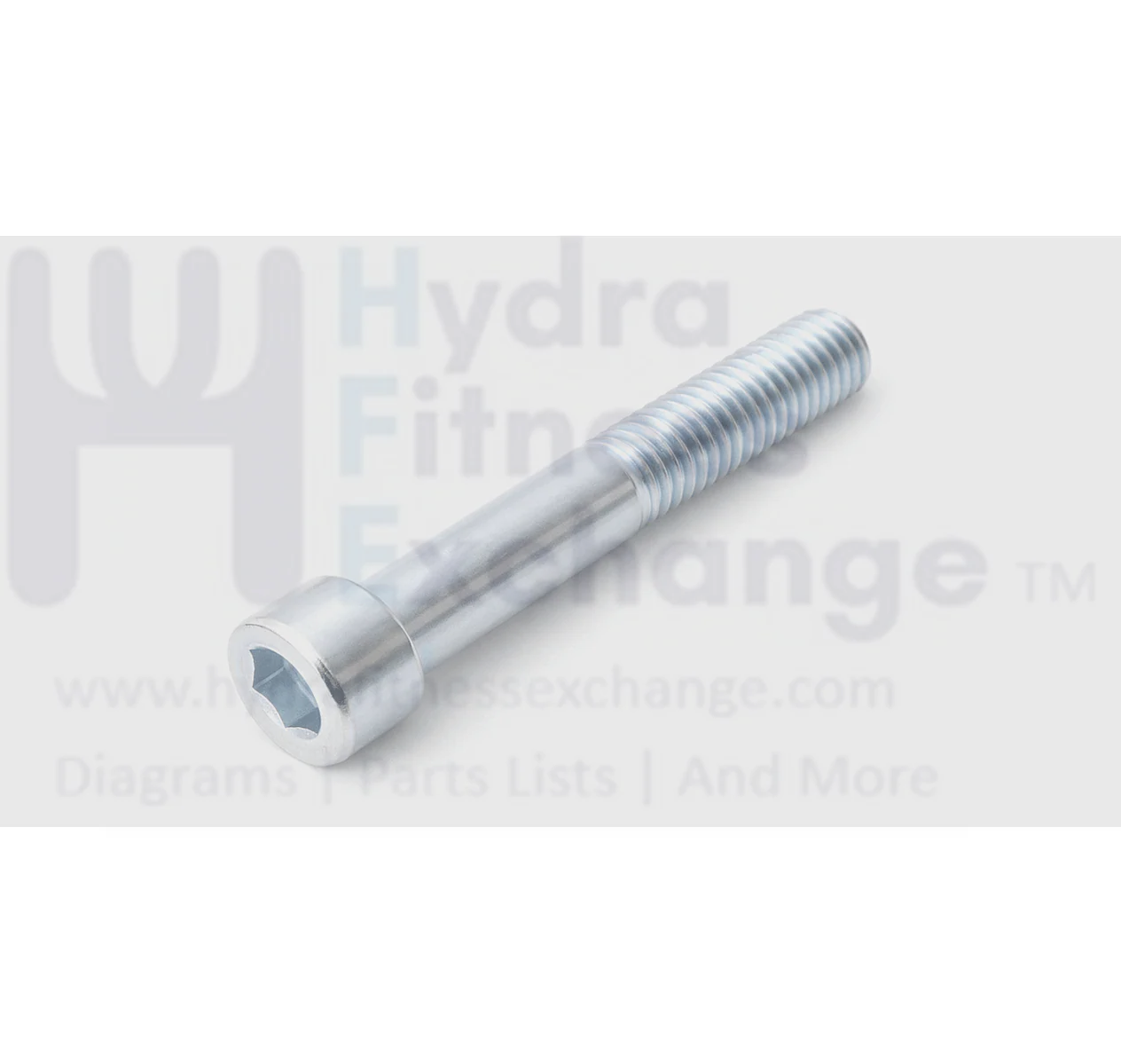 Precor Strength System Round Head Hex Socket Screw M10 x 65 PPP00000CECN010065 - Image 2