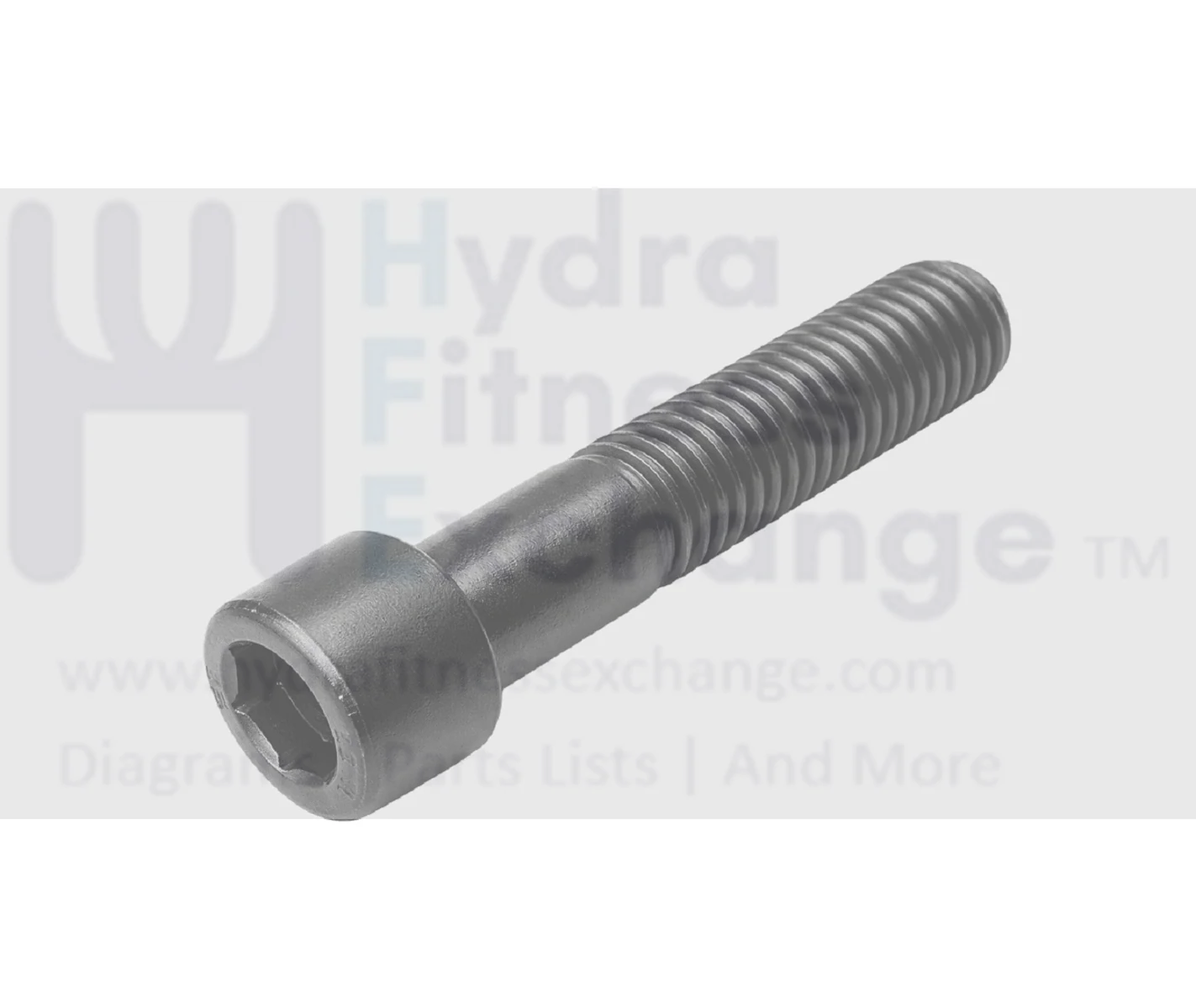Precor Strength System Round Head Hex Socket Screw M12 - 1.75 x 45