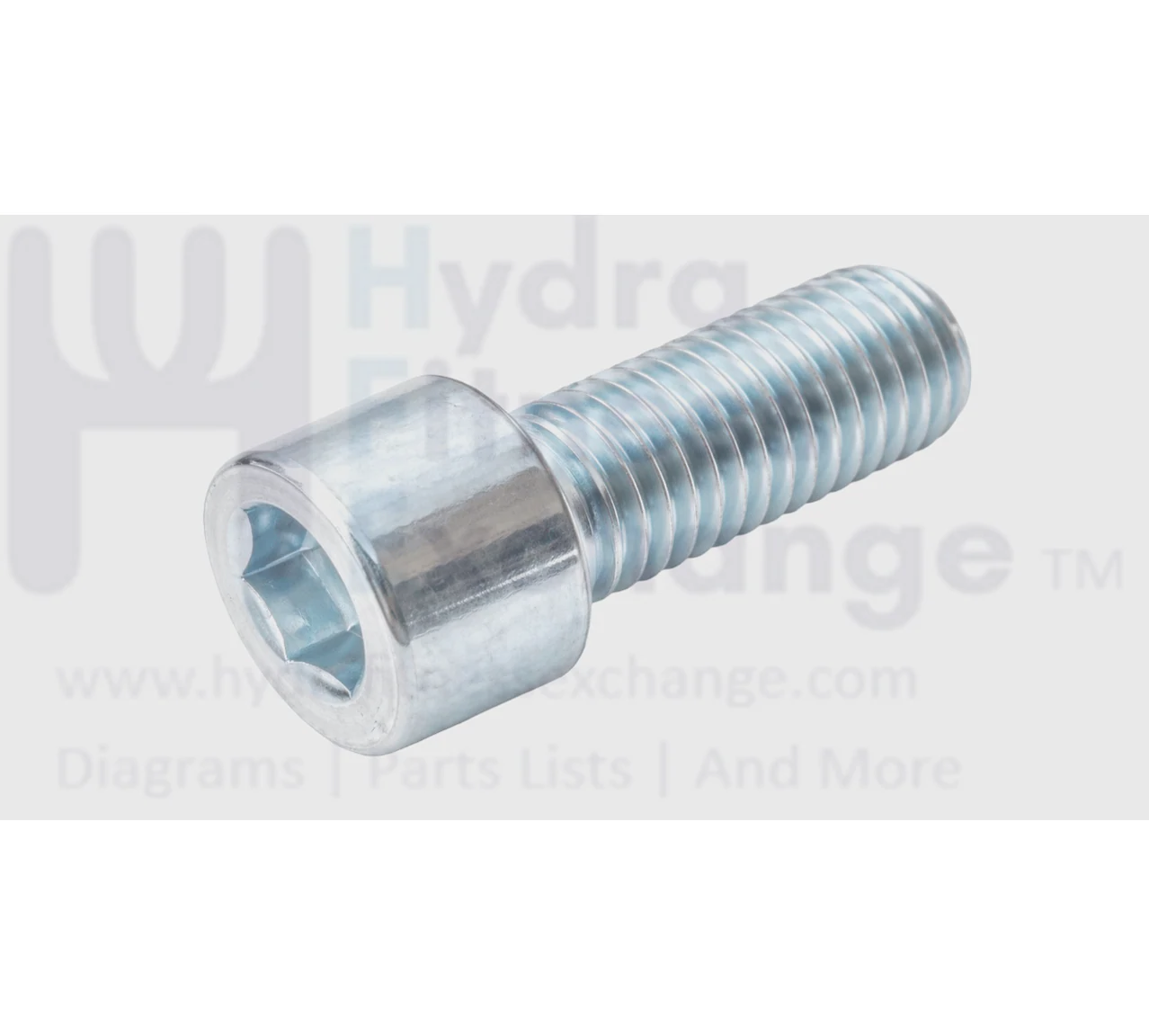 Precor Strength System Round Head Hex Socket Screw M12 x 25 PPP00000CECE012025