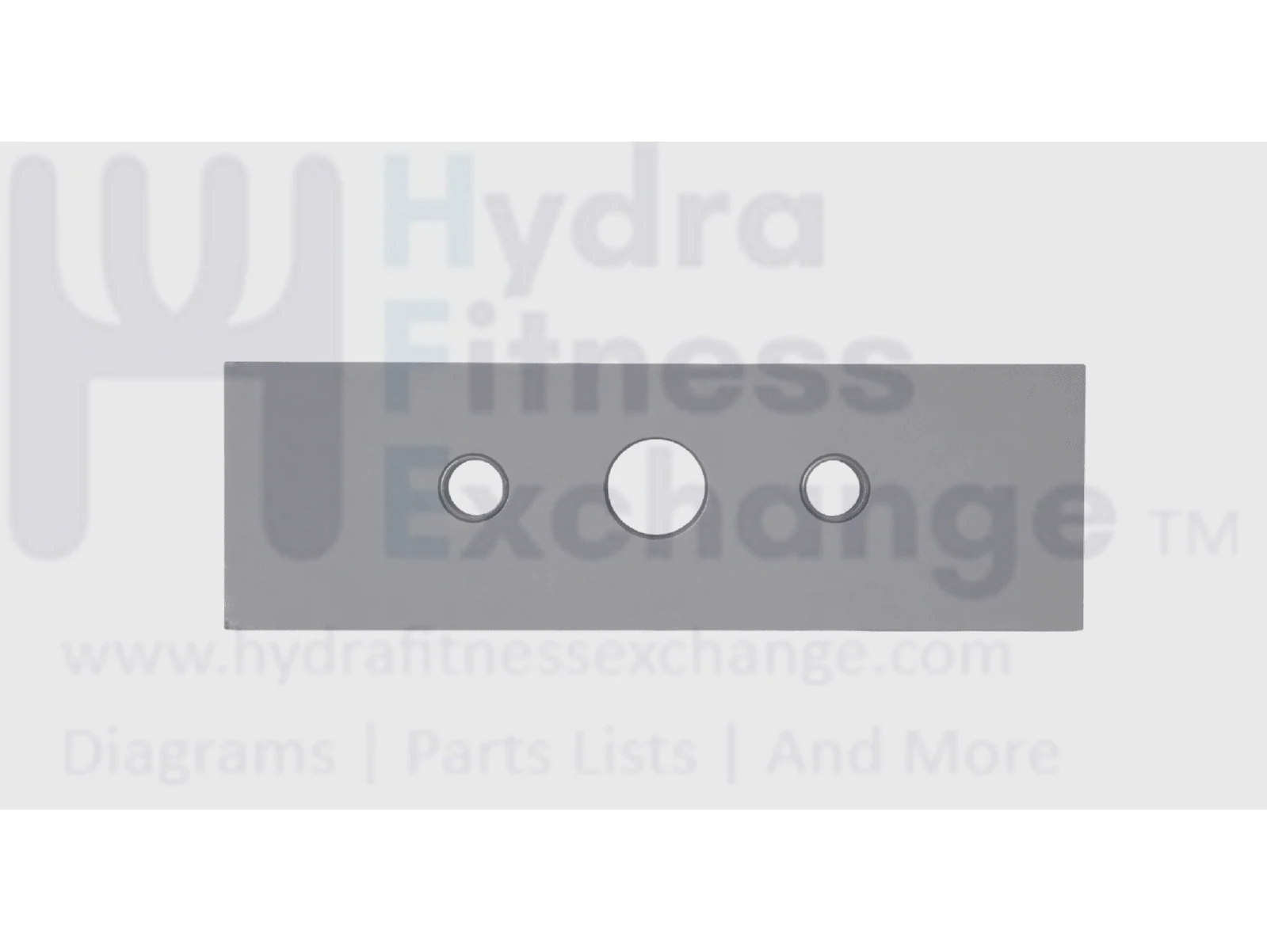 Precor Strength System Weight Plate Assembly PPP000CWS164050101