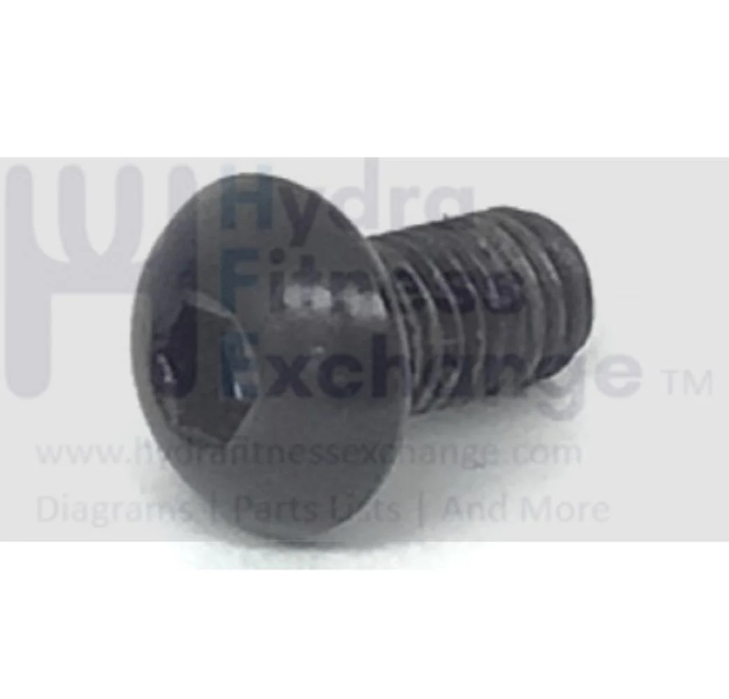 Precor Treadmill Button Head Hex Socket Screw M8 -1.25 x 15mm PPP00000TEJN008015 - Image 2