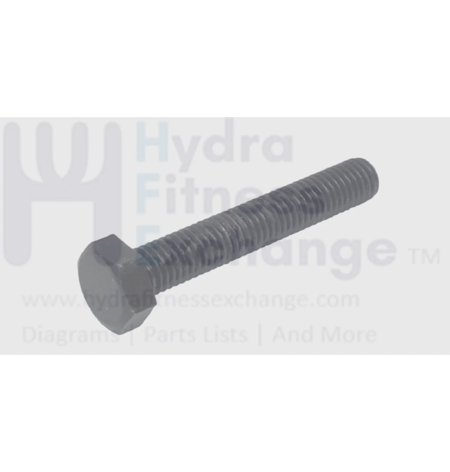 Precor Treadmill Hexagon Head Bolt M8-1.25 x 50mm PPP00000HMJN008050