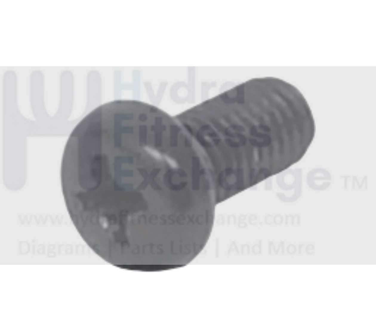 Precor Treadmill Pan Head Phillip Screw M5 - 0.8 x 10L MMJN005-010