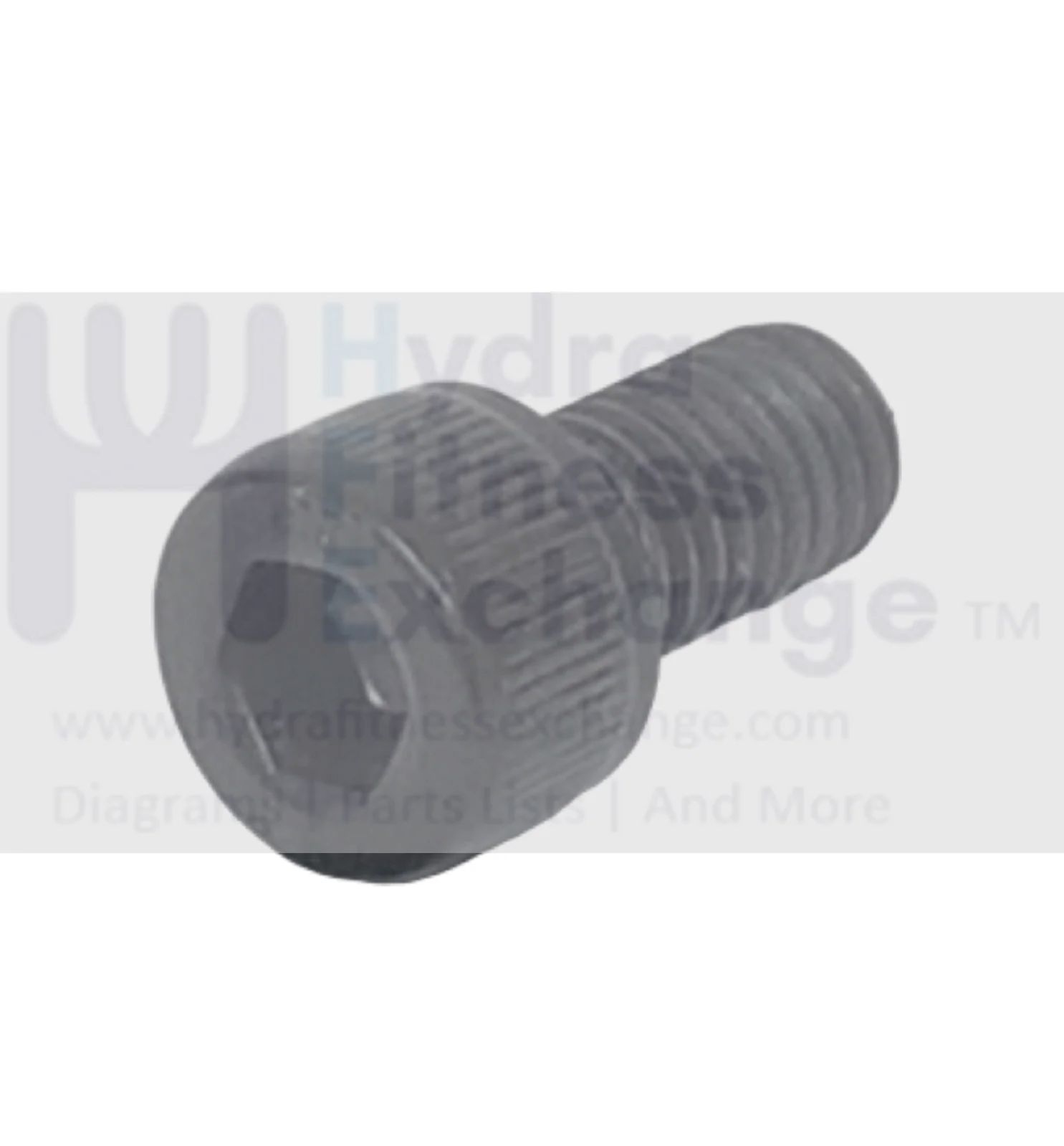 Precor Treadmill Round Hex Socket Screw M8 - 1.25 x 15mm PPP00000CEJN008015