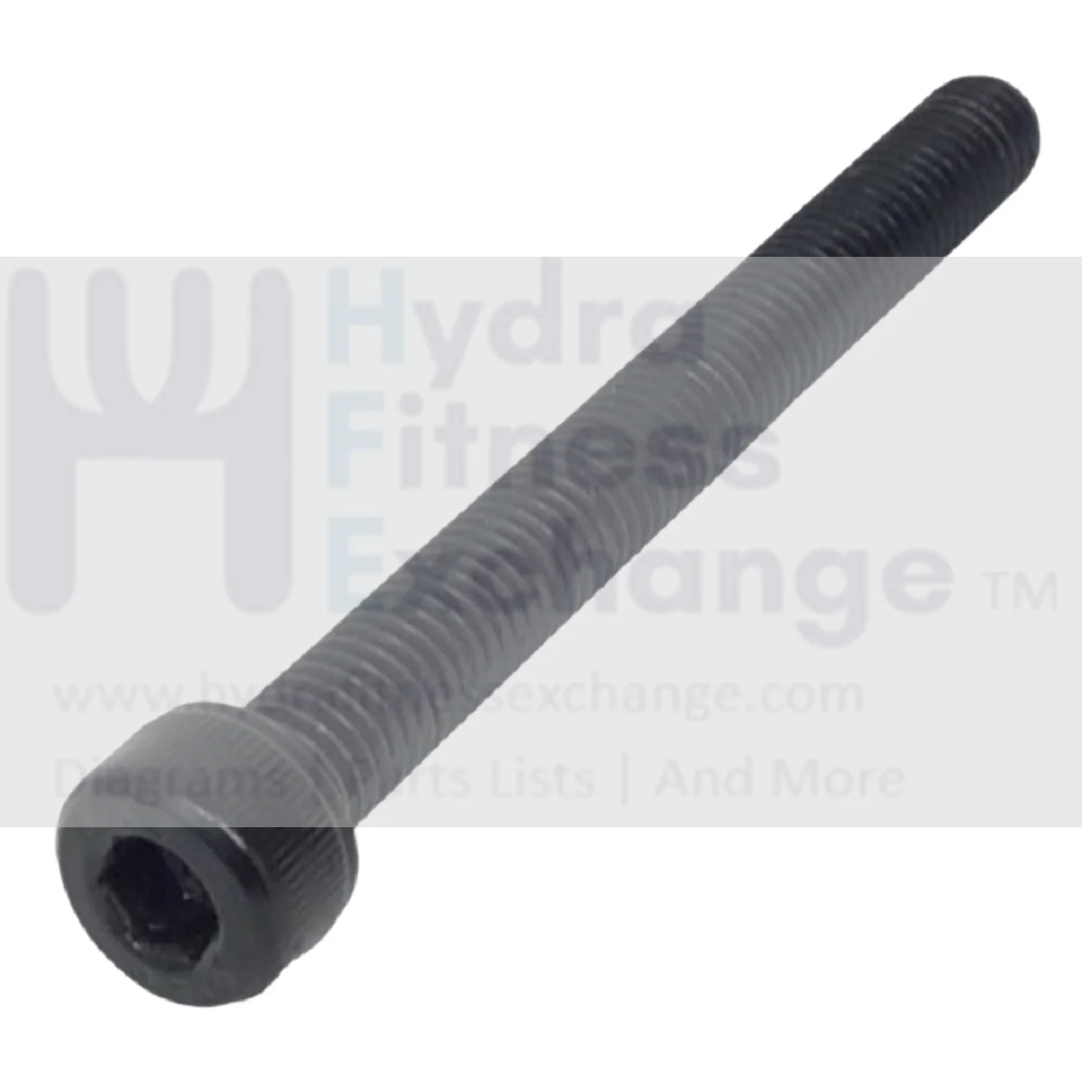 Precor Treadmill Round Hex Socket Screw M8 - 1.25x 80mm PPP00000CEJN008080
