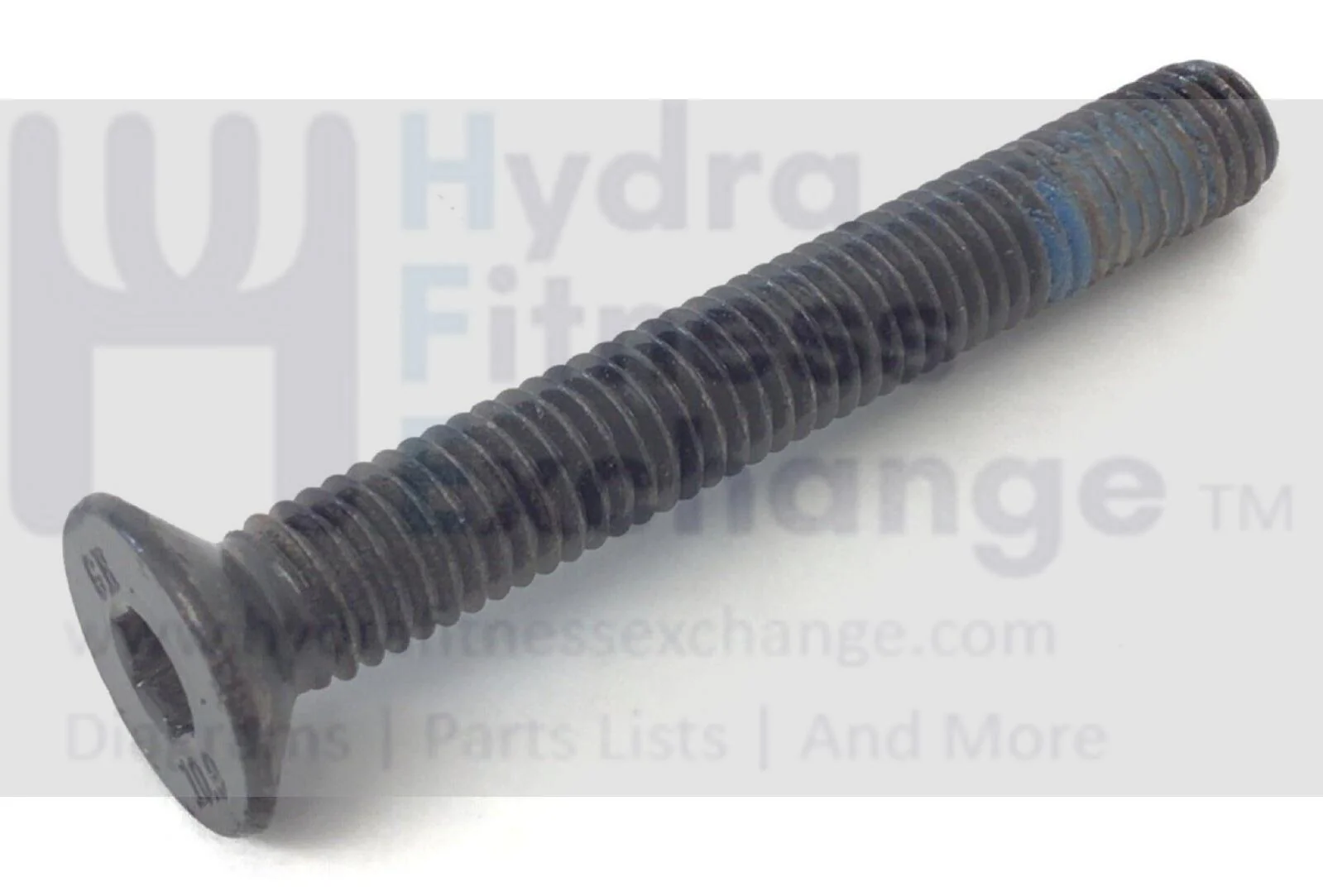 Used Proform City L6 CWL -PFTL288200 PFTL28820 Treadmill Screw M8-1.25-55.5mm 431491