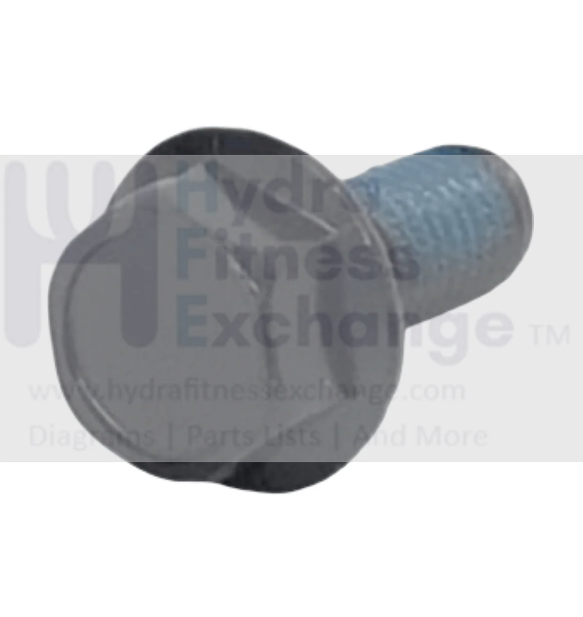Proform Elliptical Head Hex Screw M8 x 20mm 417308