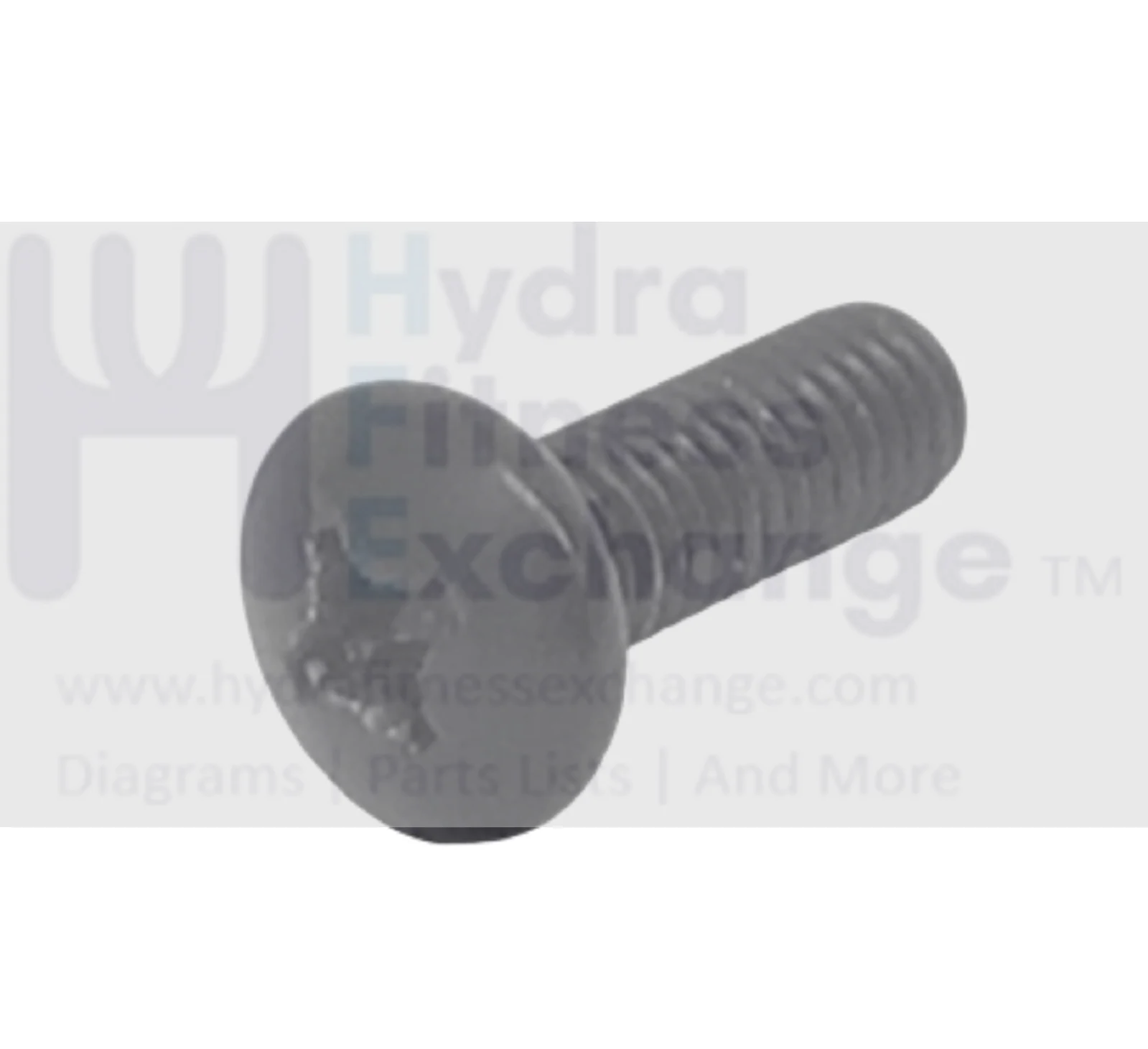 Proform Elliptical Phillips Screw M6 - 1.0 x 12mm 39789 For 278602 Union Set