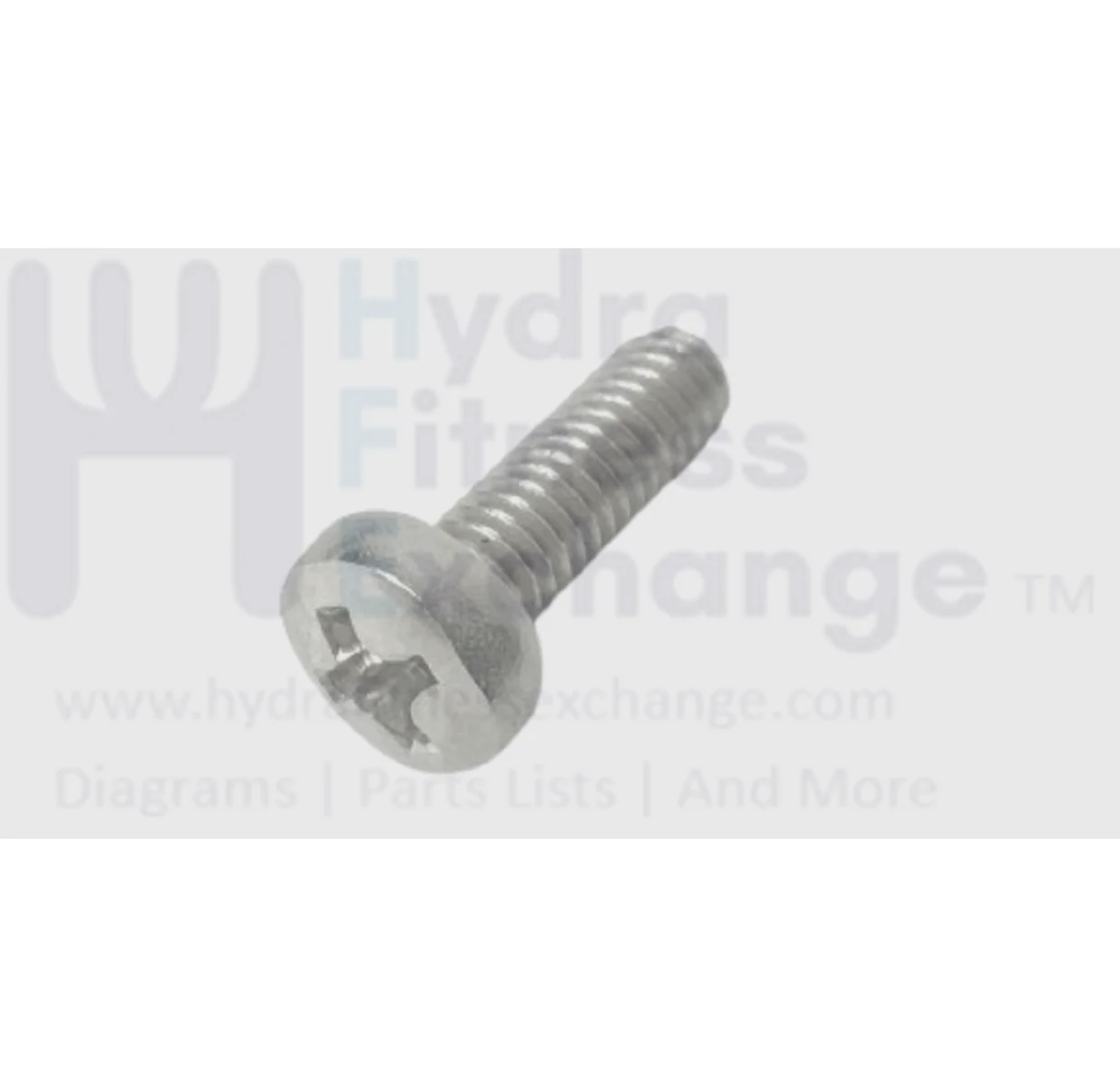 Proform Free Motion Gold's Gym Icon Nordictrack Treadmill Phillip Screw M4-0.7 X 12mm 251429